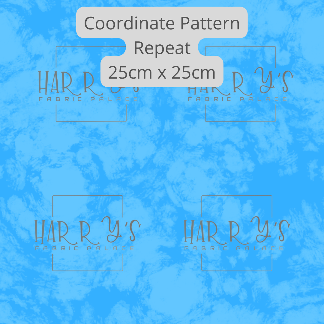 Peter - Coordinate - Scale.png