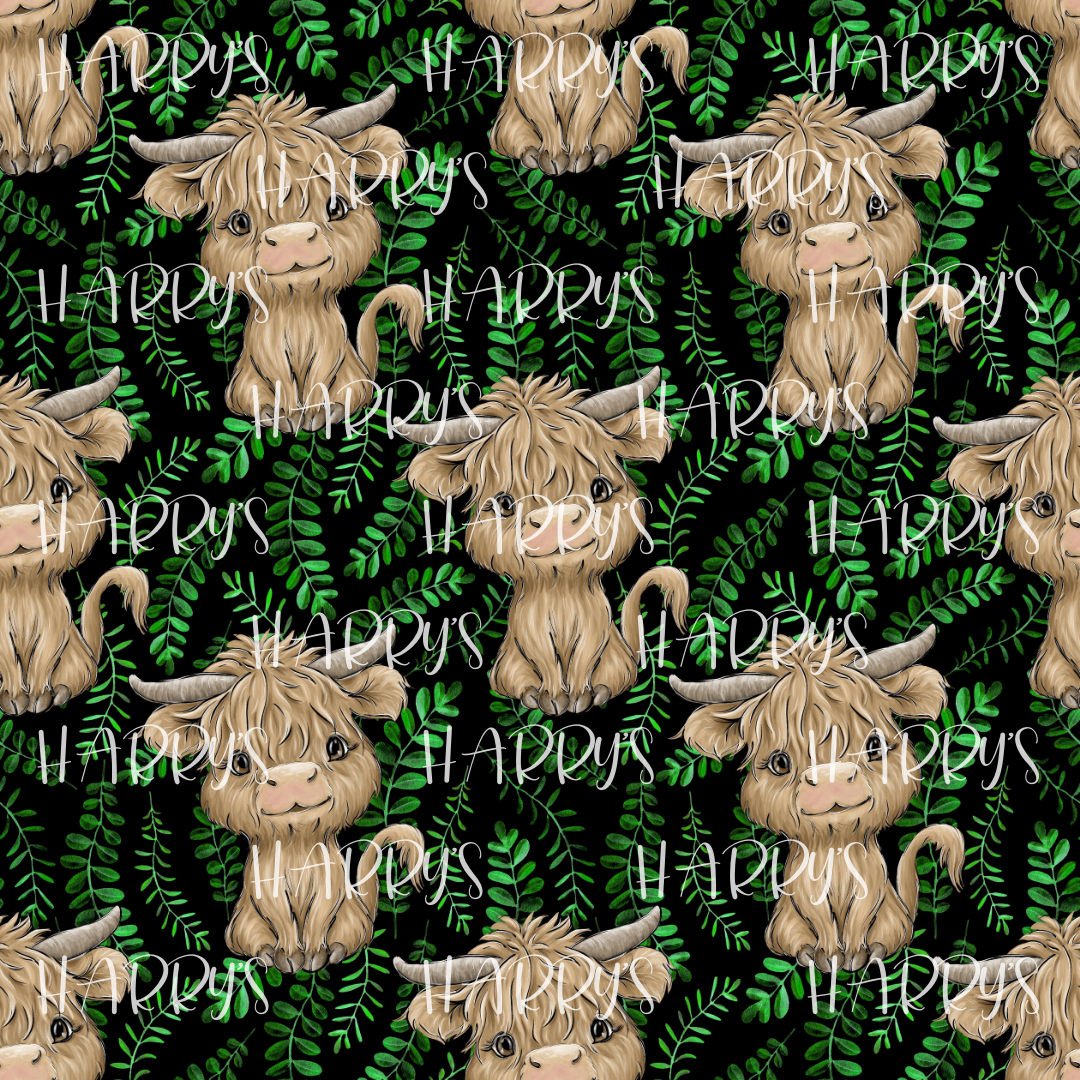 Baby Highland -Black
