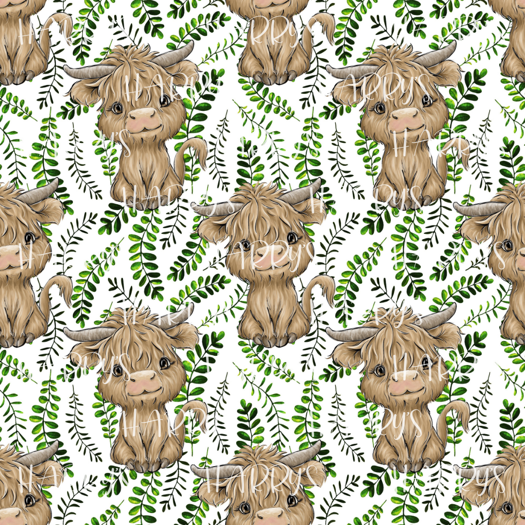 Baby Highland - White