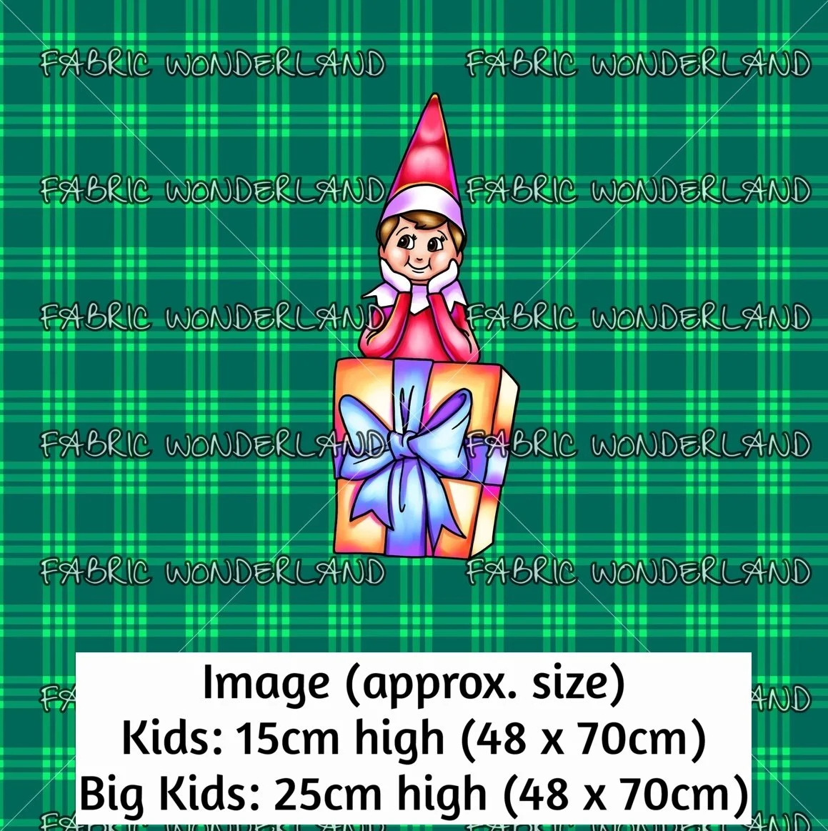 Elfie Present - Green - Scale.jpg
