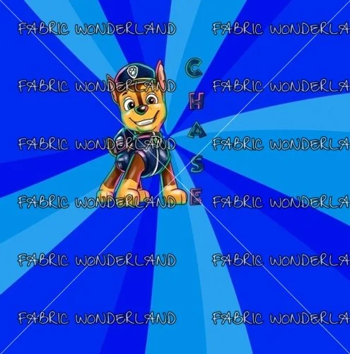 Rescue Chases Summer Panel