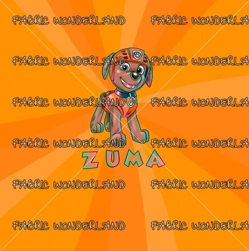 Rescue Splash Smmer Panel