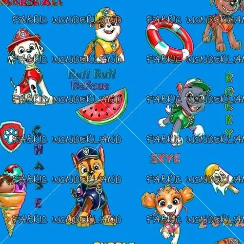 Rescue Chases Summer