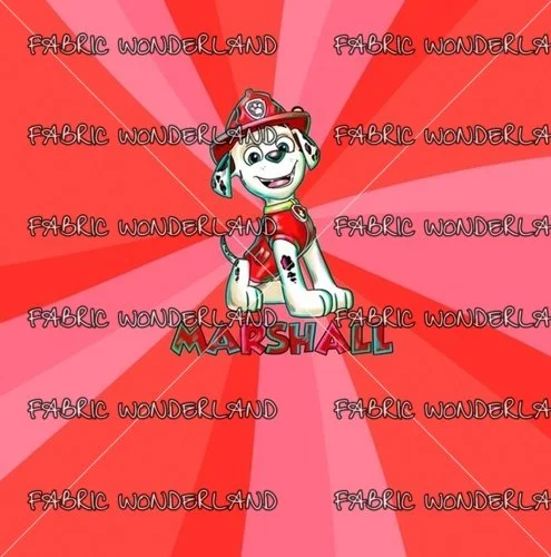 Rescue Fire Summer Panel