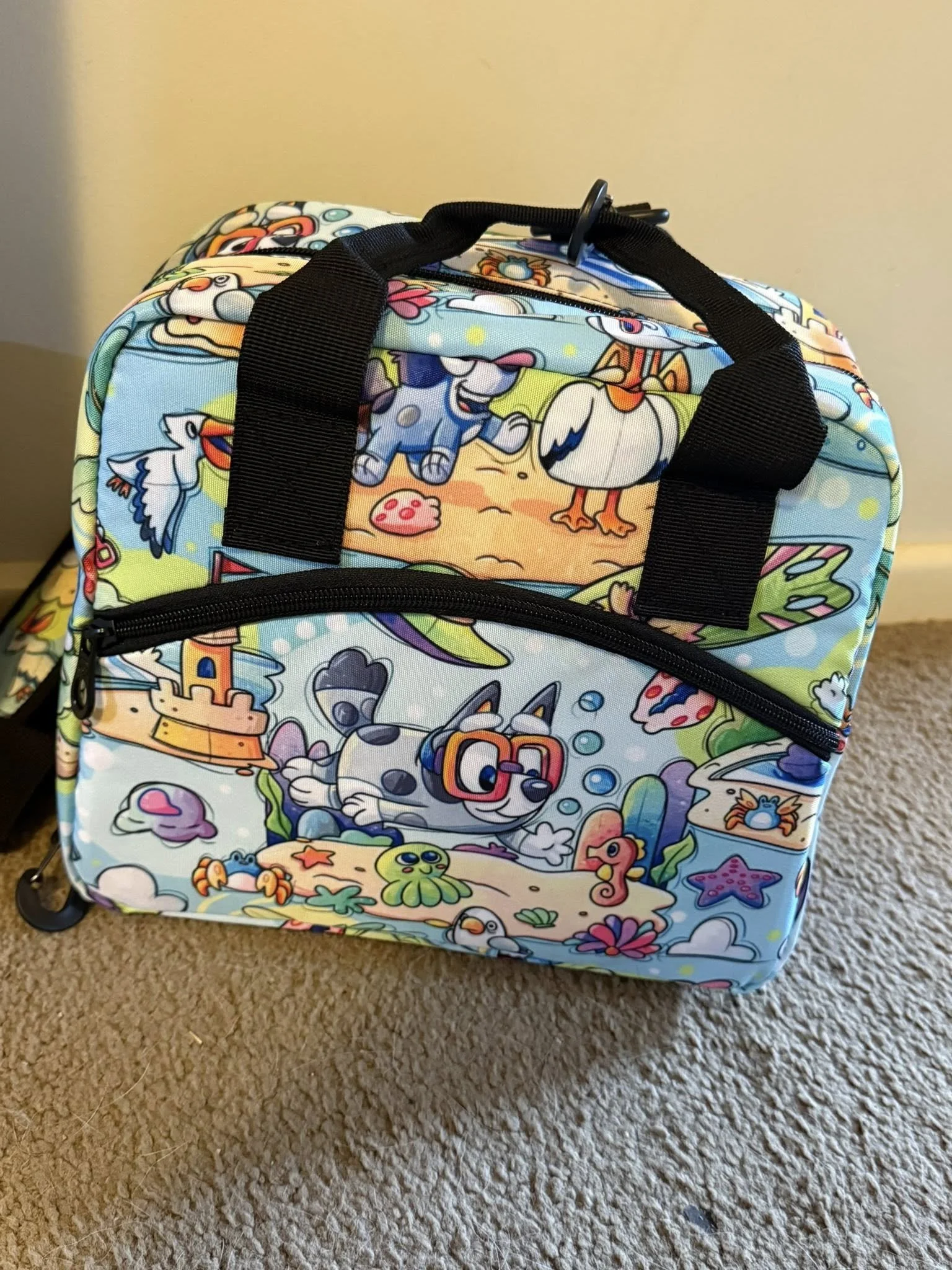 PRE PAY!!! Beach Day Picnic Bag