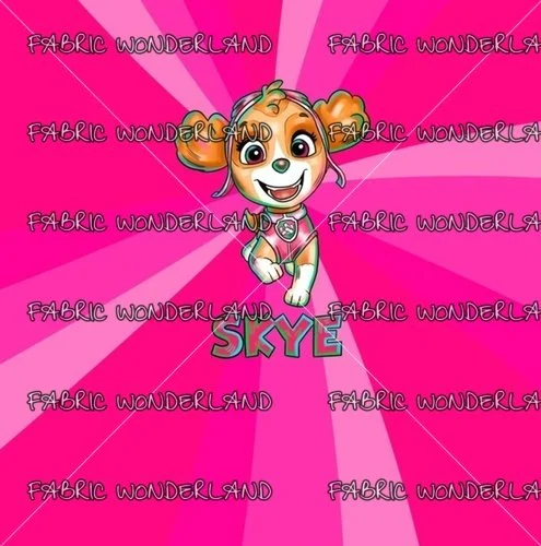 Rescue Skyes Smmer Panel