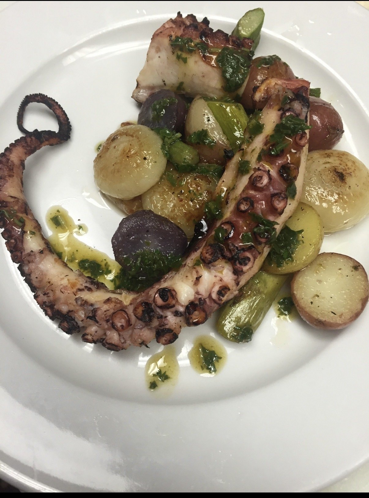 Grilled octopus Rhode Island Italian Chef