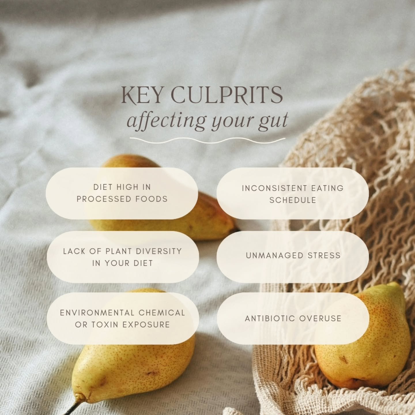 The health of your gut is shaped by more than just what you eat.

Stress, processed foods, lack of plant diversity, inconsistent eating habits, environmental toxins, and antibiotic overuse can all have a major impact on your digestion, hormones, ener