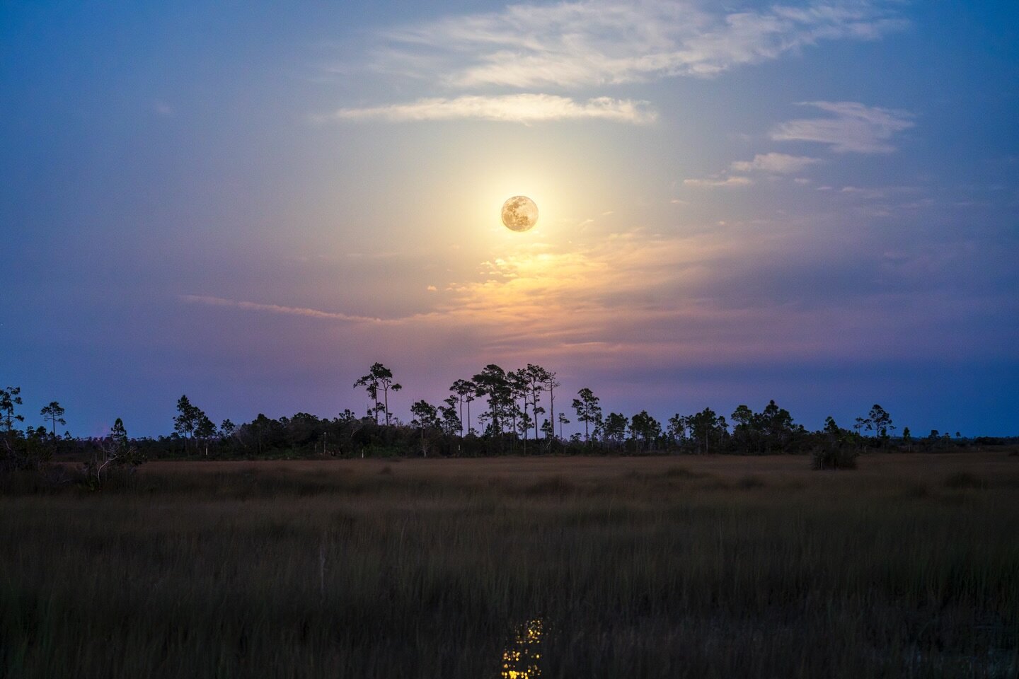 The moon rising over the vast prairies of Everglades National Park has been one of the most incredible experiences I&rsquo;ve captured in a while. 

The planning, rushing, and excitement of seeing the moon slowly rise behind the trees is a feeling I 