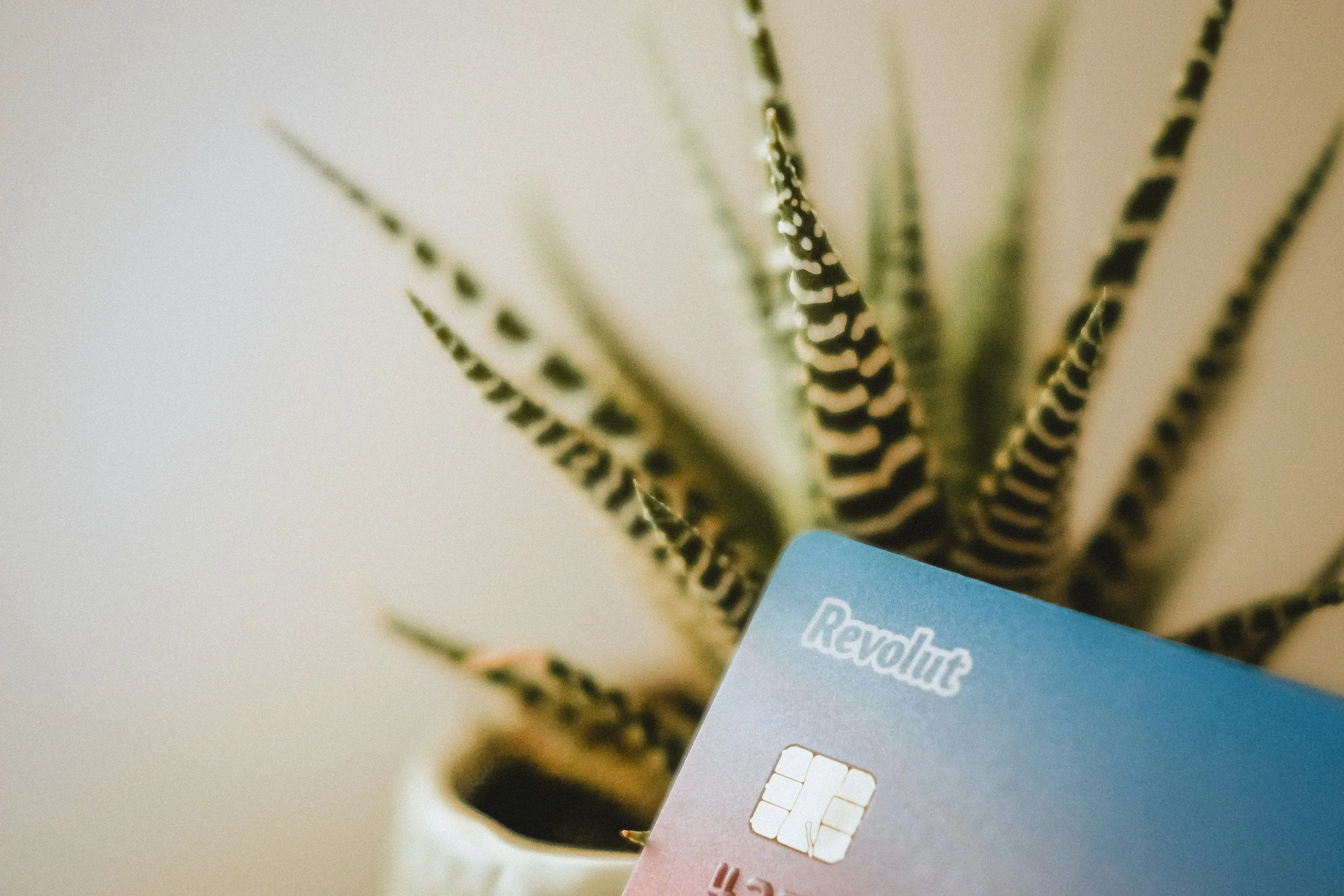 How to Use Credit Cards to Your Advantage… and Not Get Ripped Off