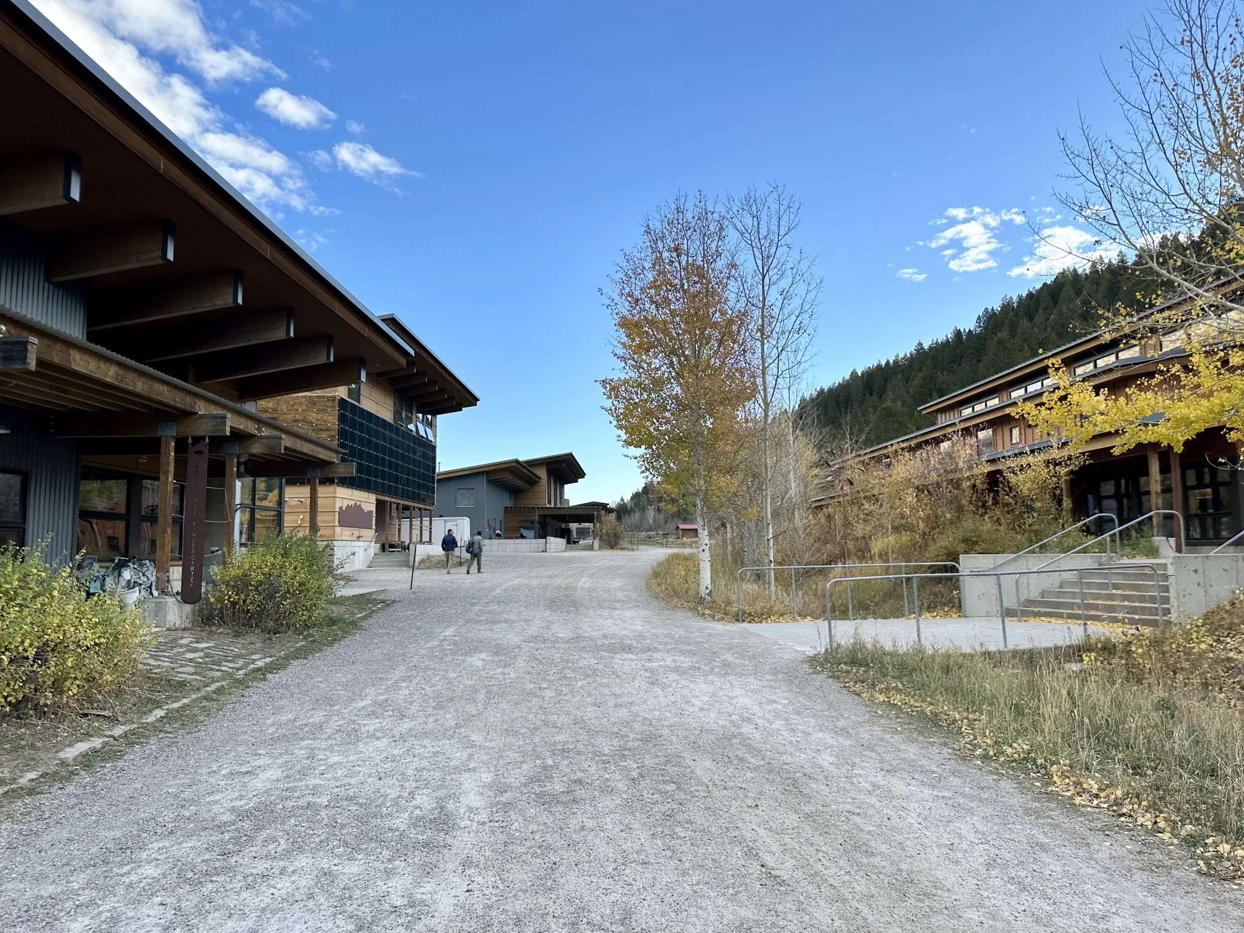 Ropes course on campus