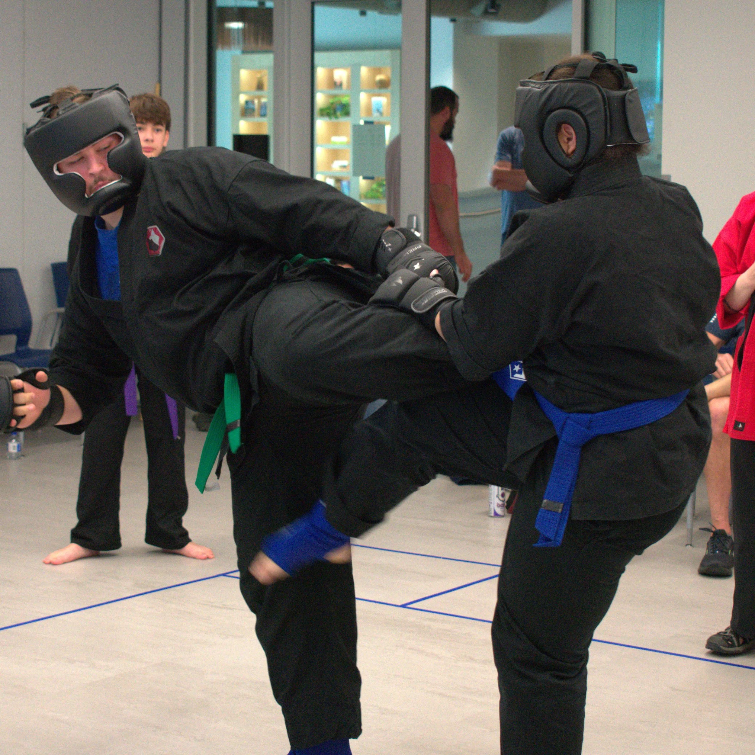 Karate Bagua Jujitsu Kung Fu Lenexa Kansas City Metro 14.jpg