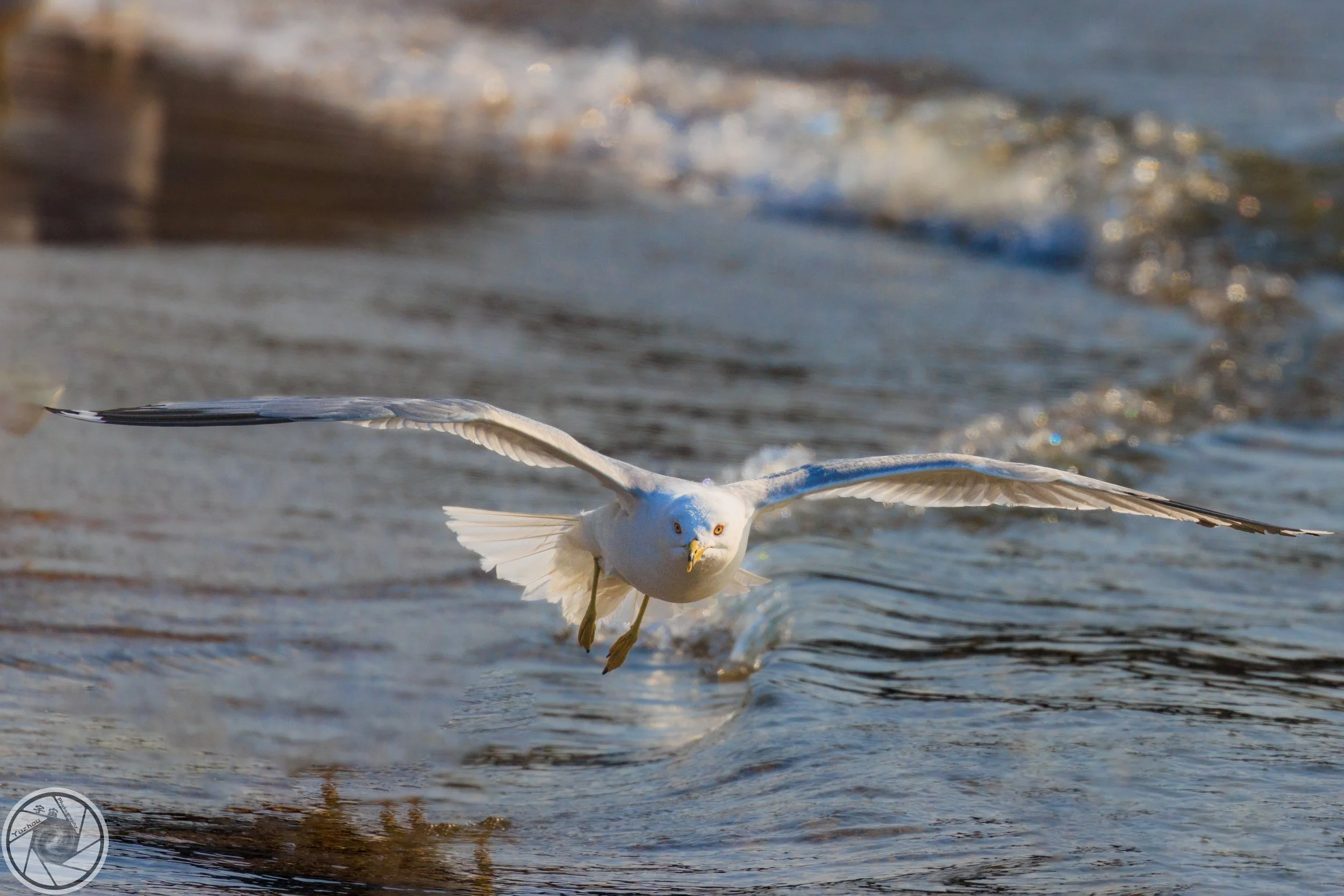 804A4713-Edit.jpg