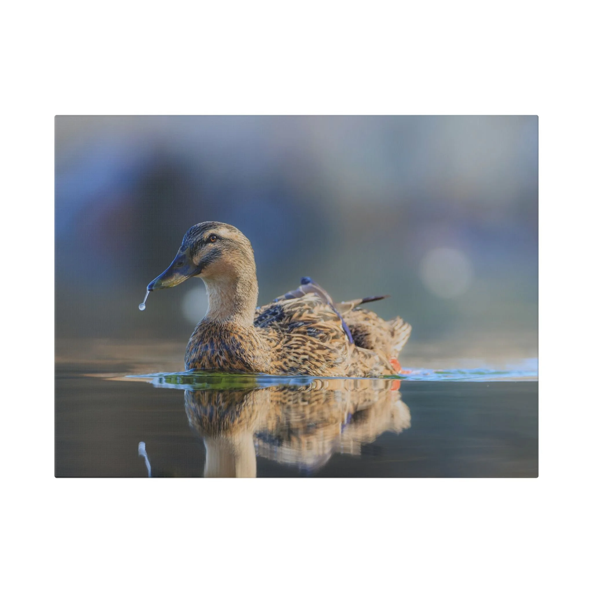 Classic Stretched Canvas