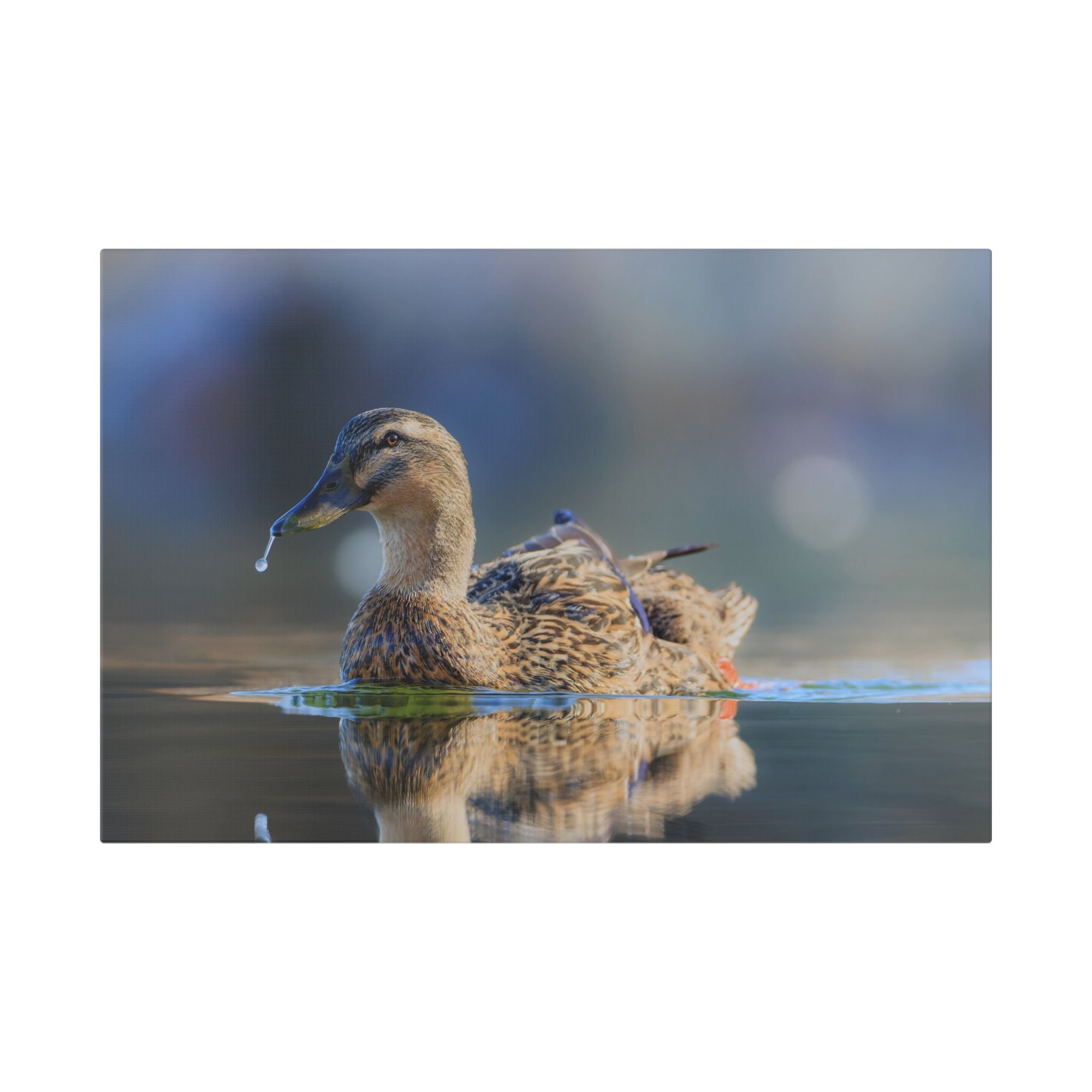 Classic Stretched Canvas