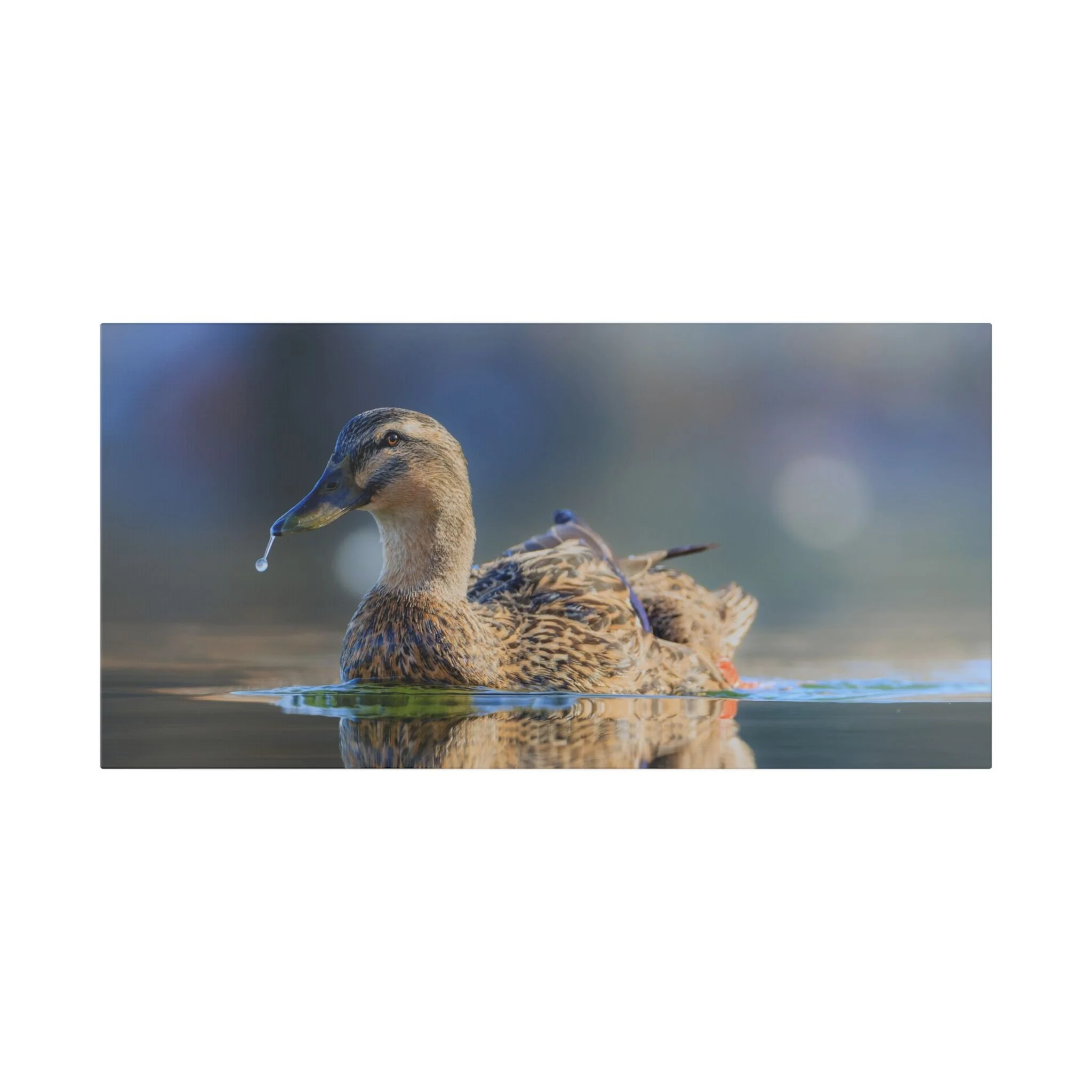 Classic Stretched Canvas