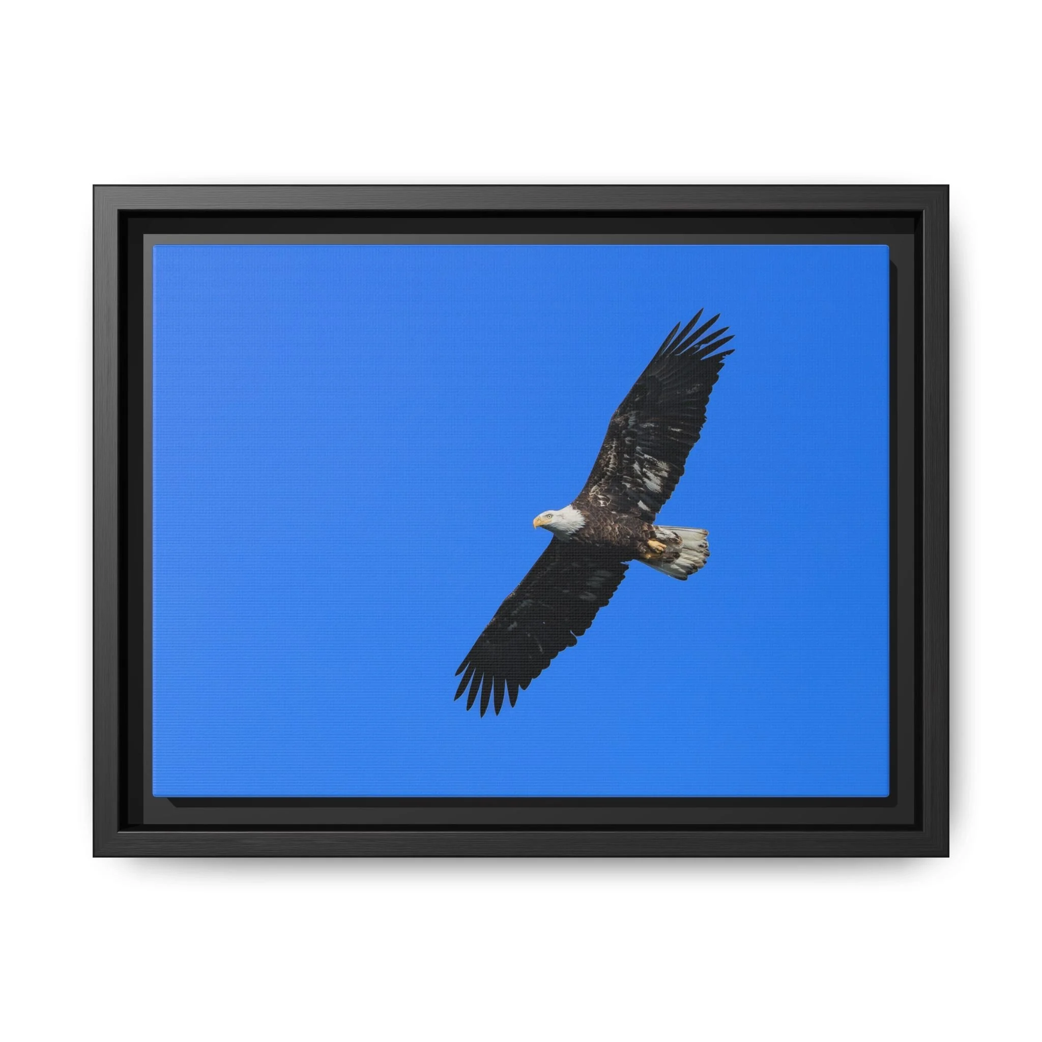 Framed Matte Canvas Print