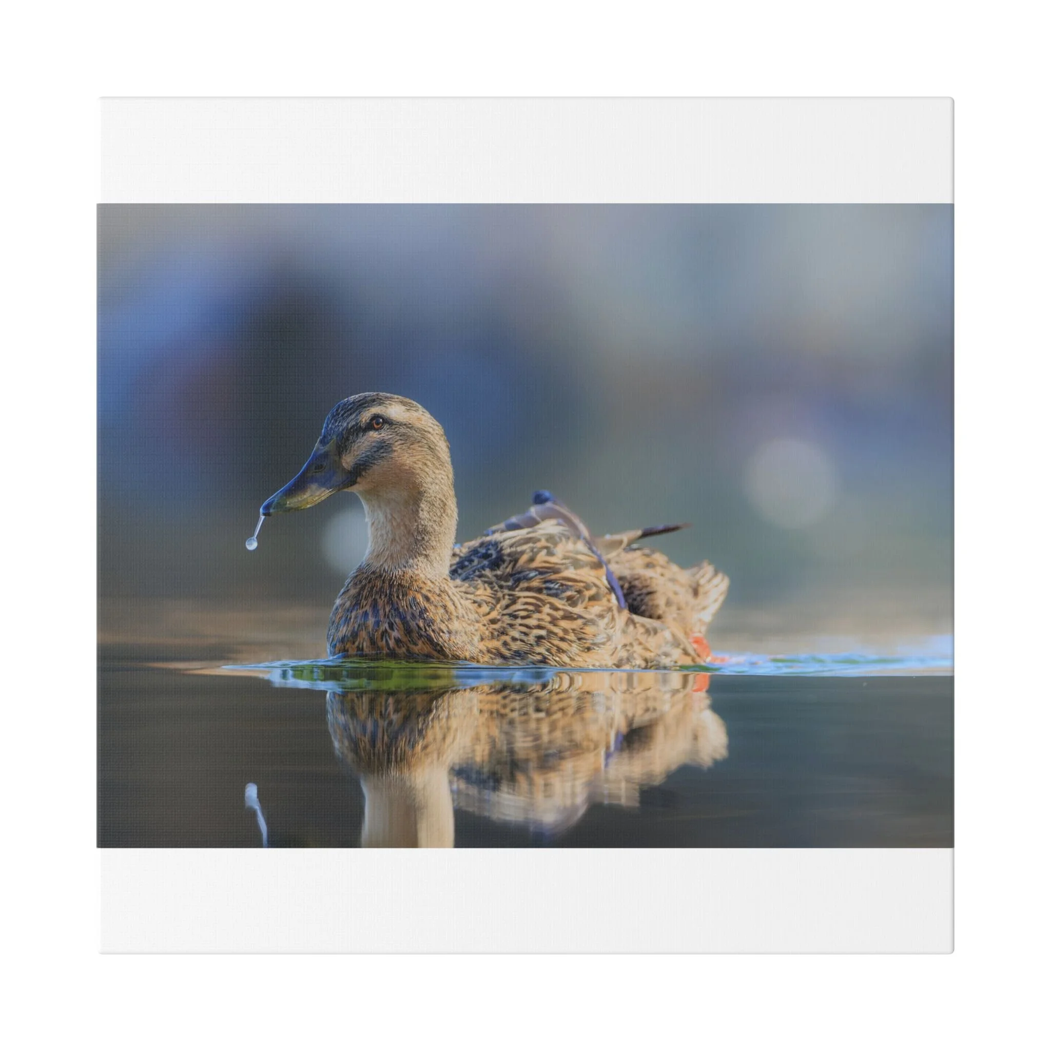 Classic Stretched Canvas