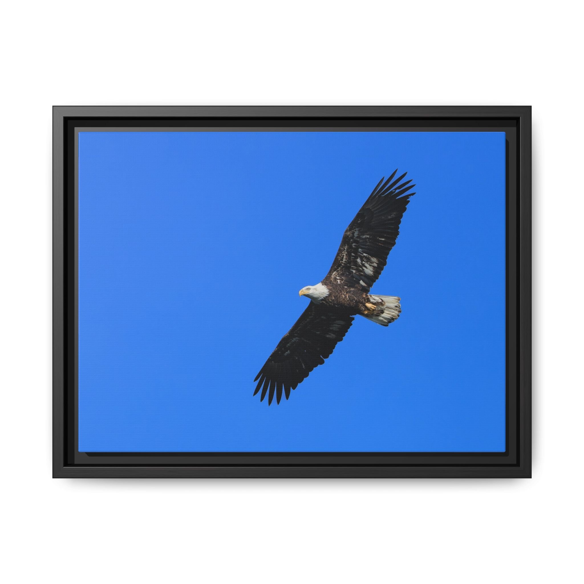 Framed Matte Canvas Print