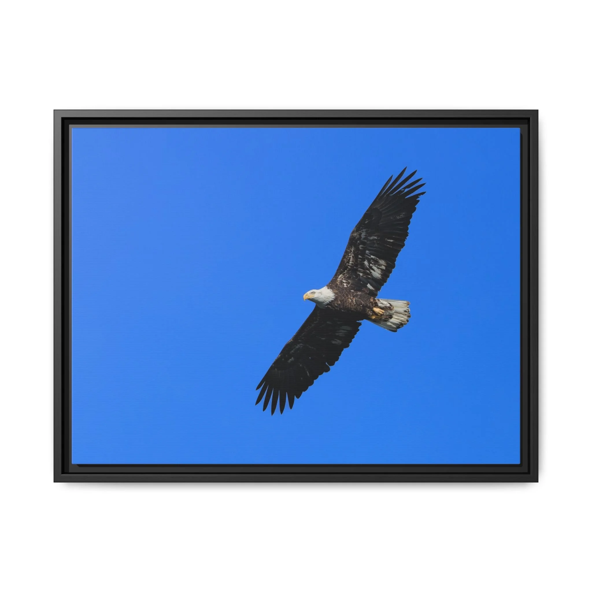 Framed Matte Canvas Print