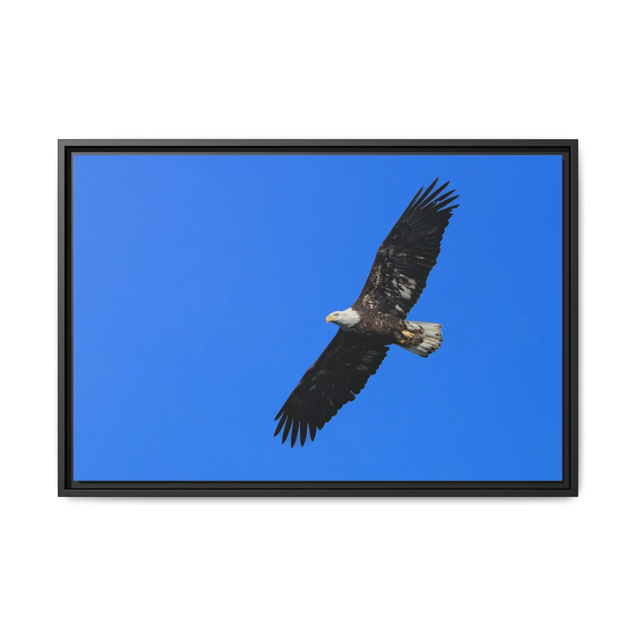 Framed Matte Canvas Print