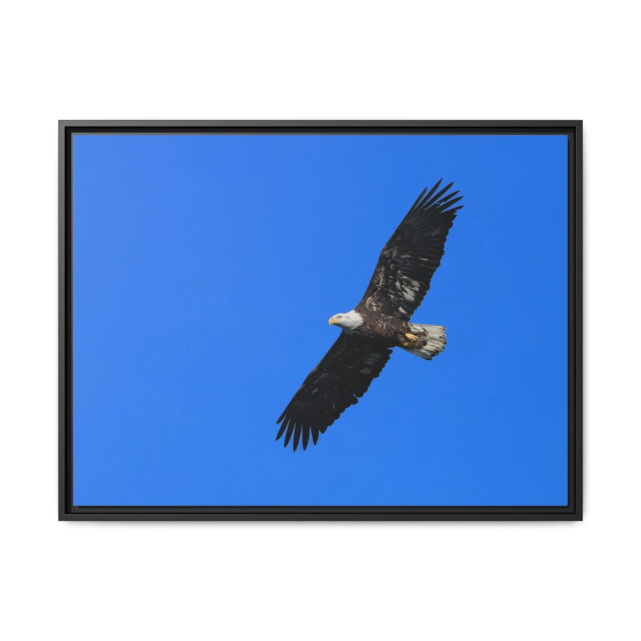 Framed Matte Canvas Print