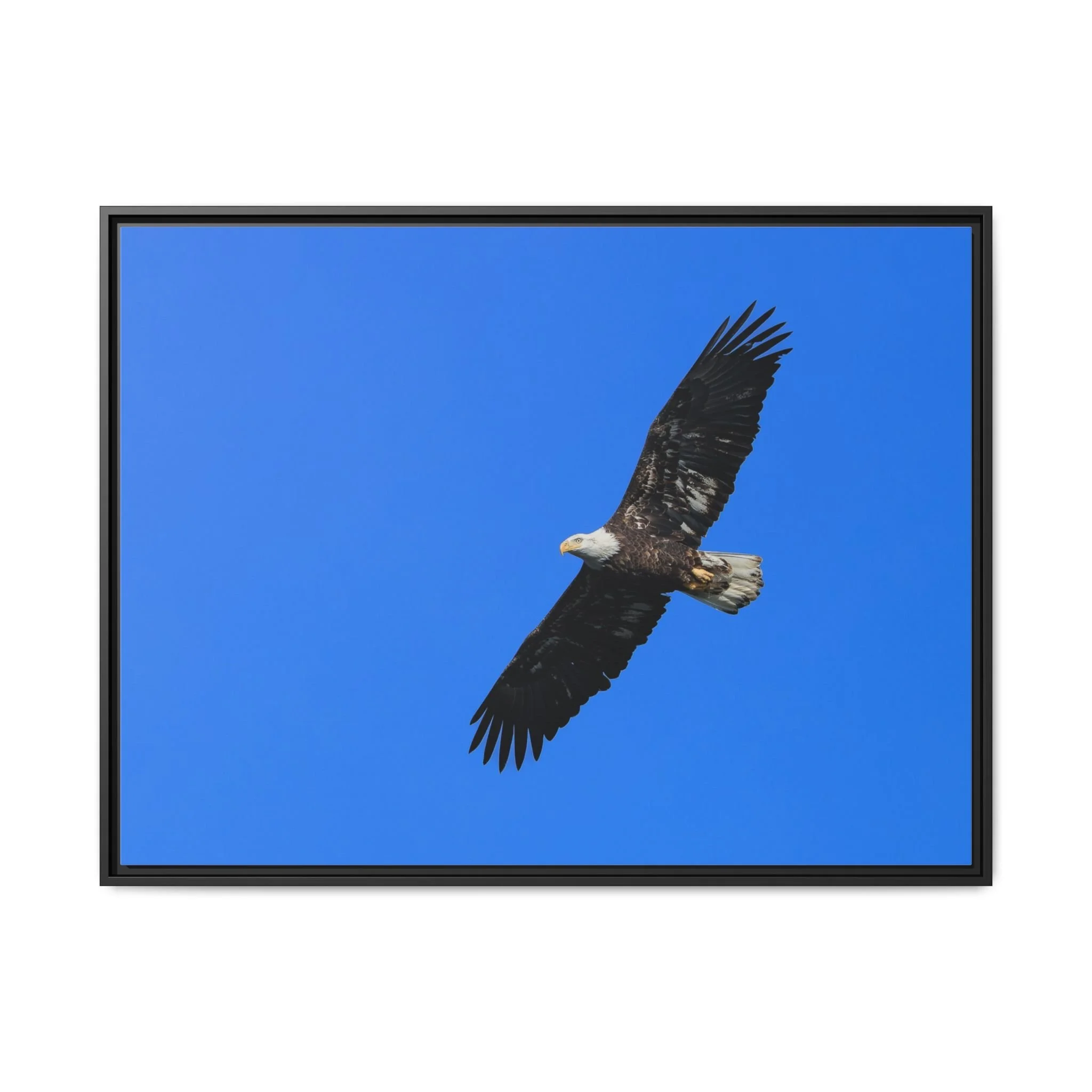 Framed Matte Canvas Print