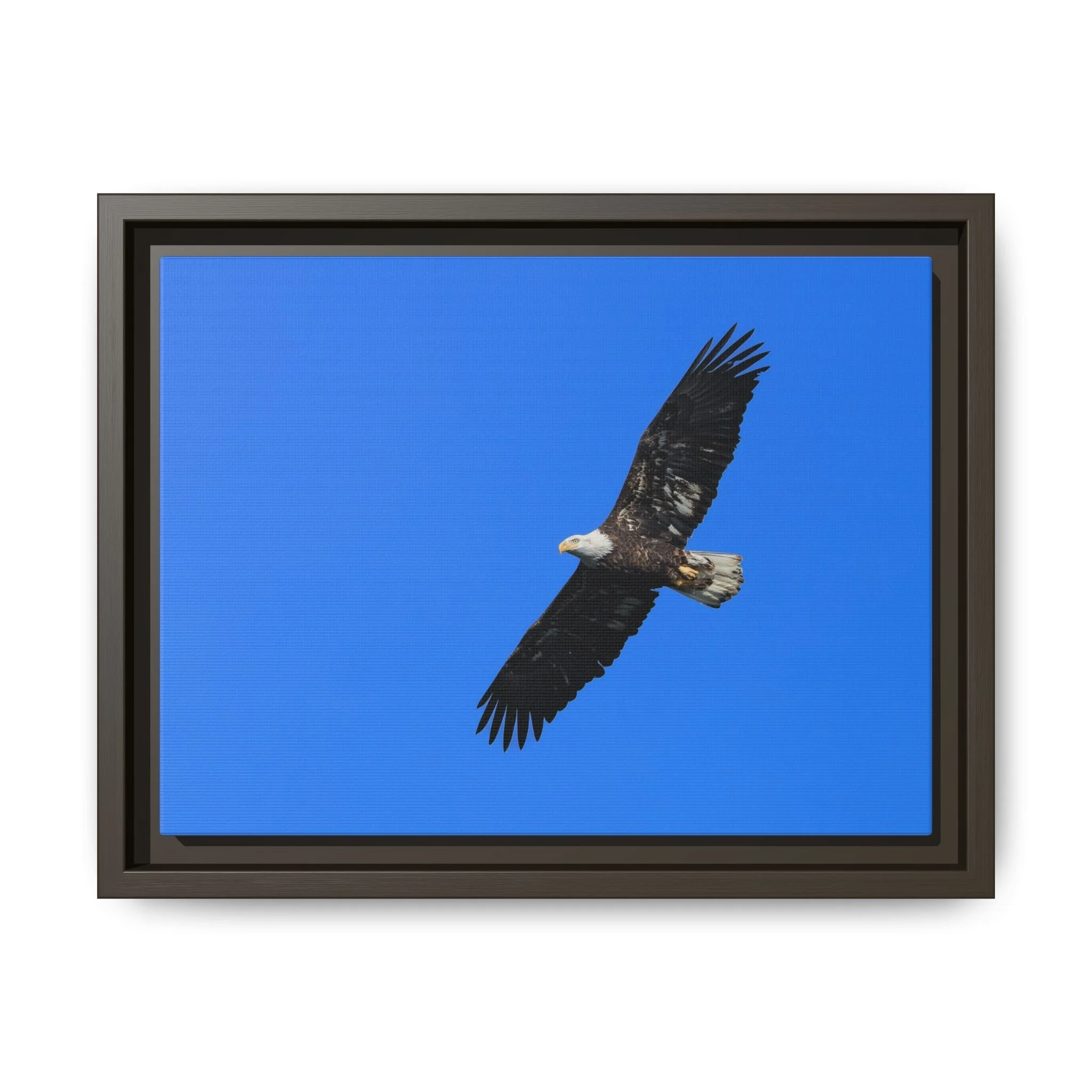 Framed Matte Canvas Print