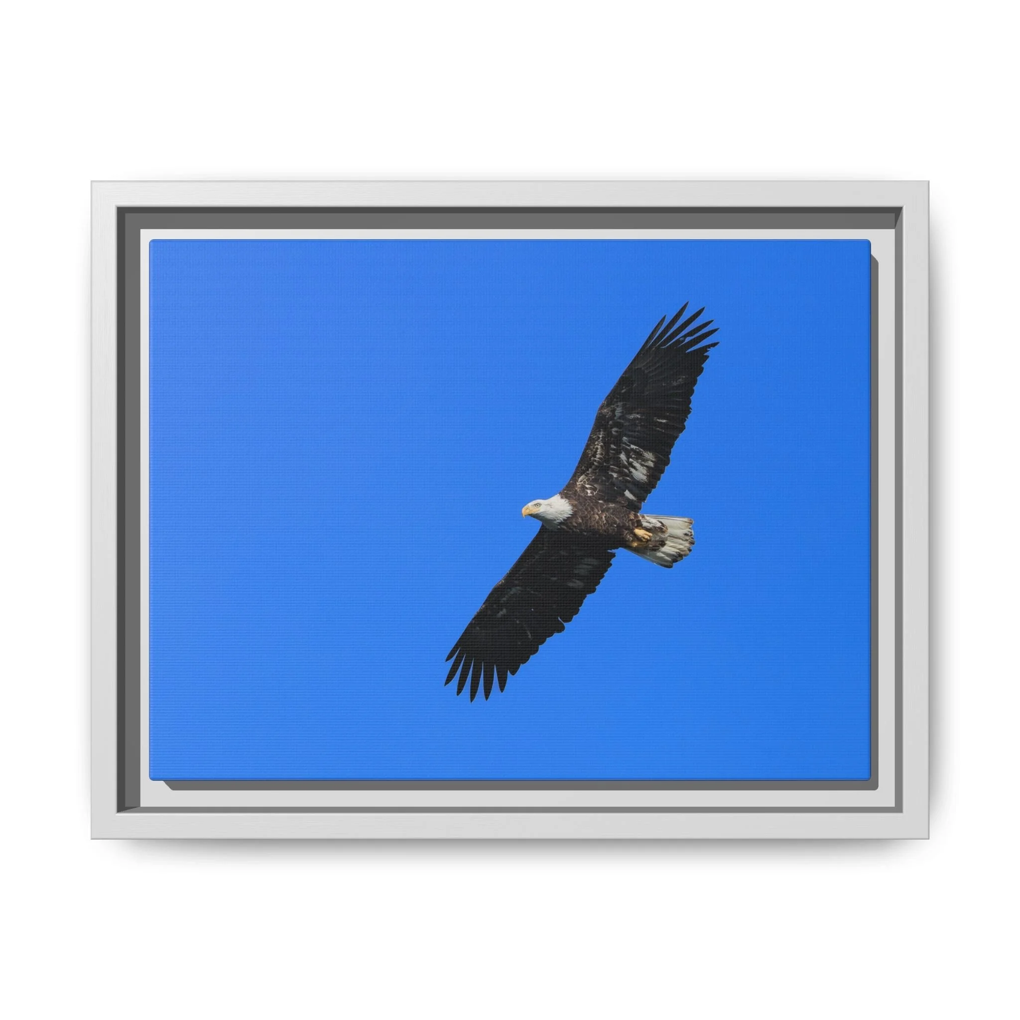 Framed Matte Canvas Print