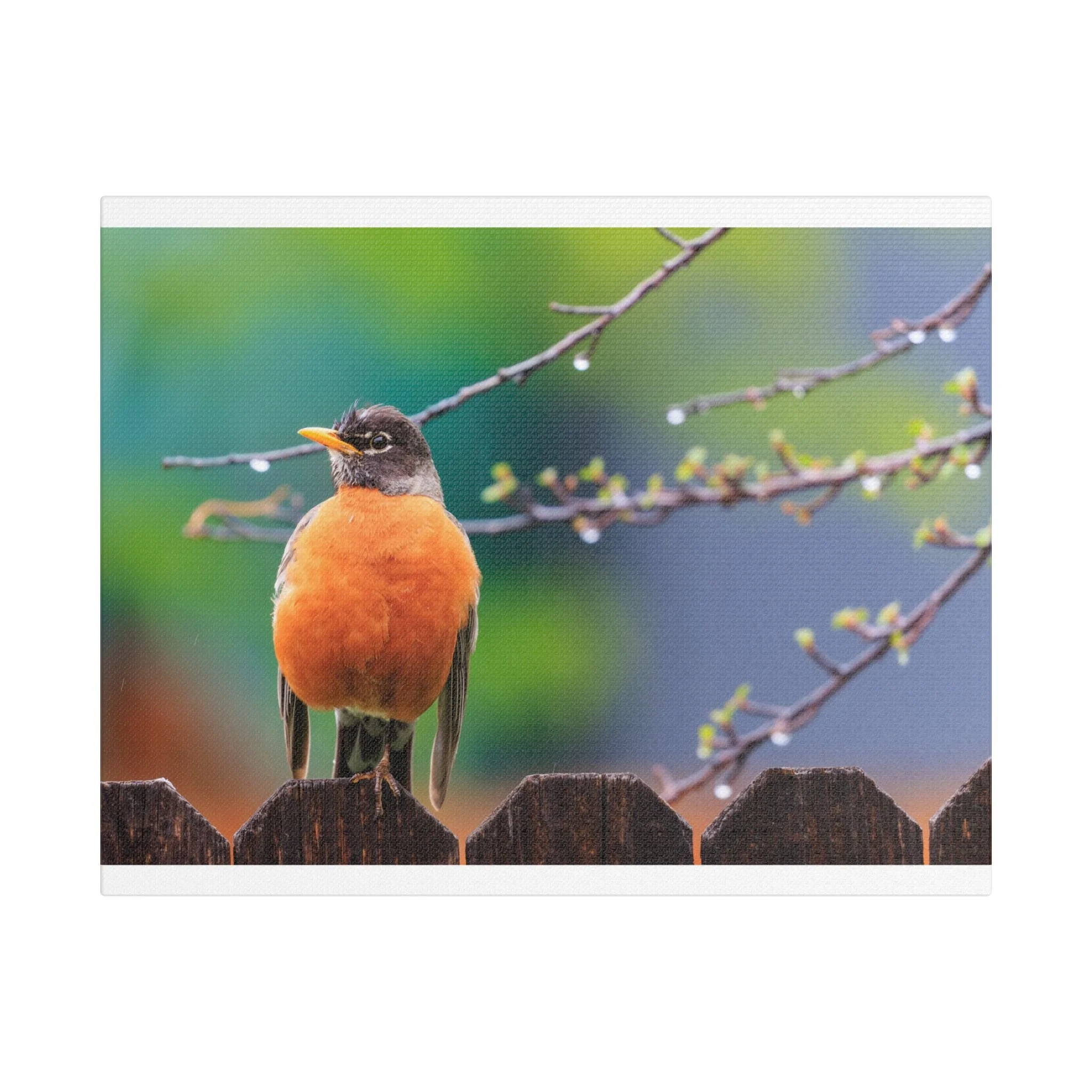 Stretched Satin Canvas