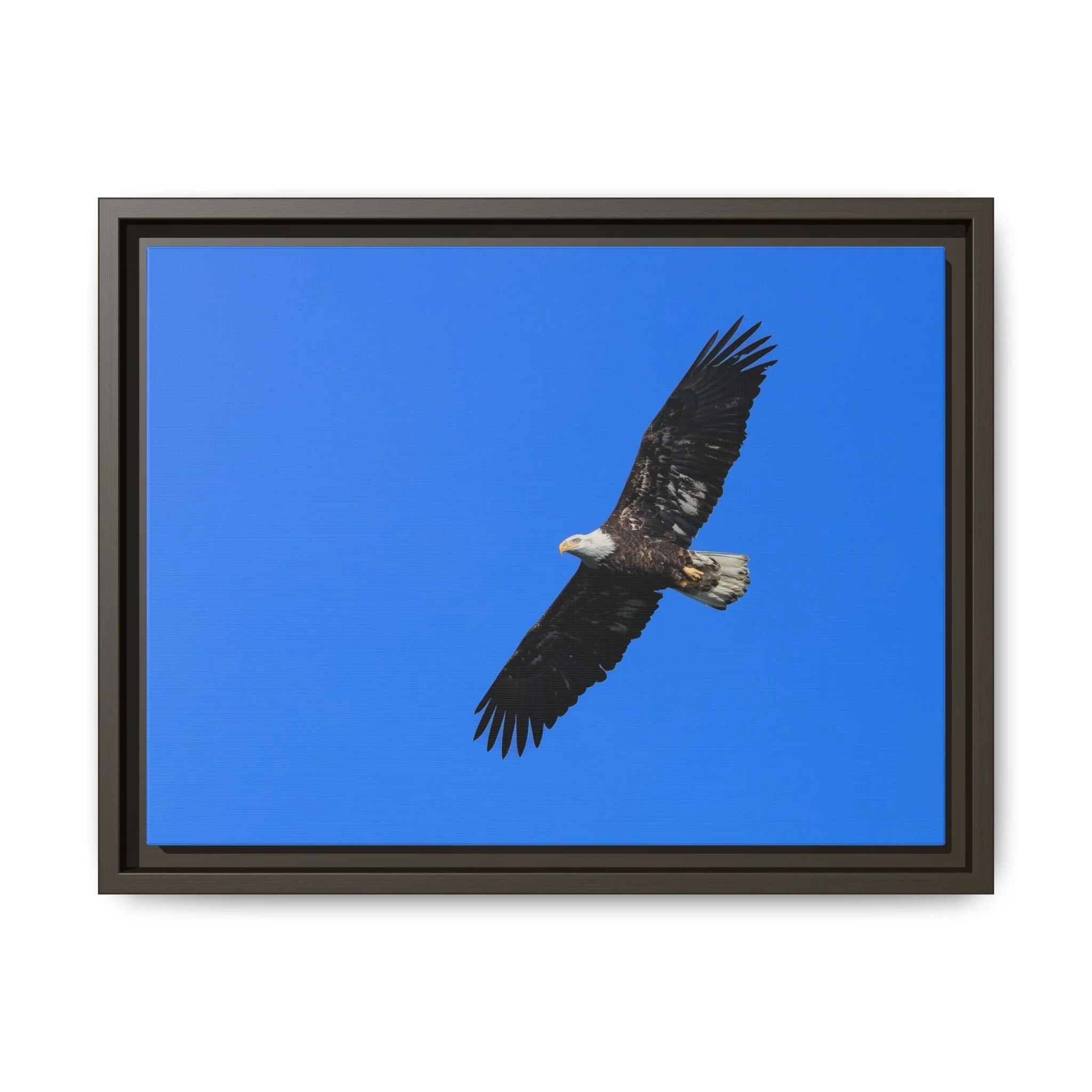 Framed Matte Canvas Print