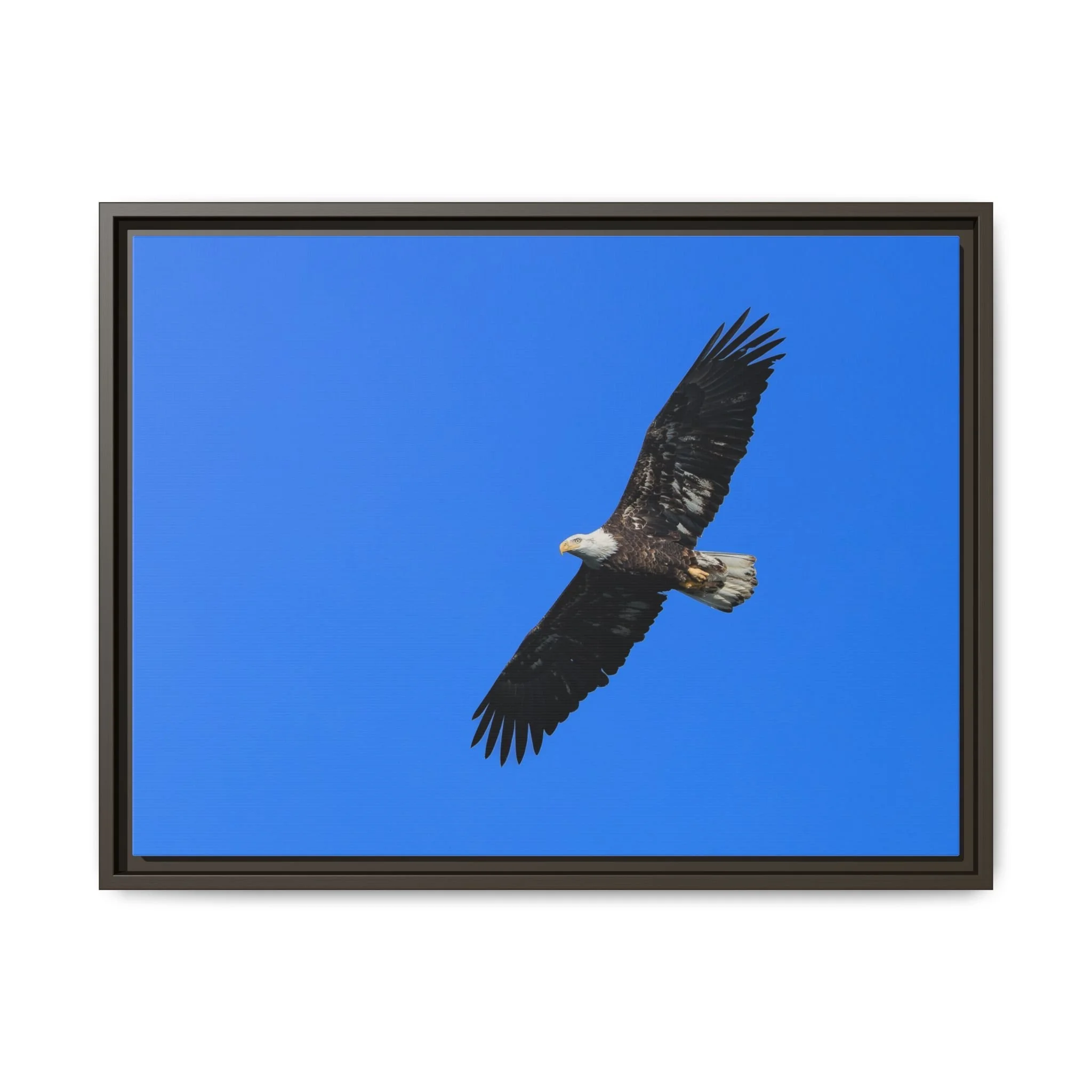 Framed Matte Canvas Print