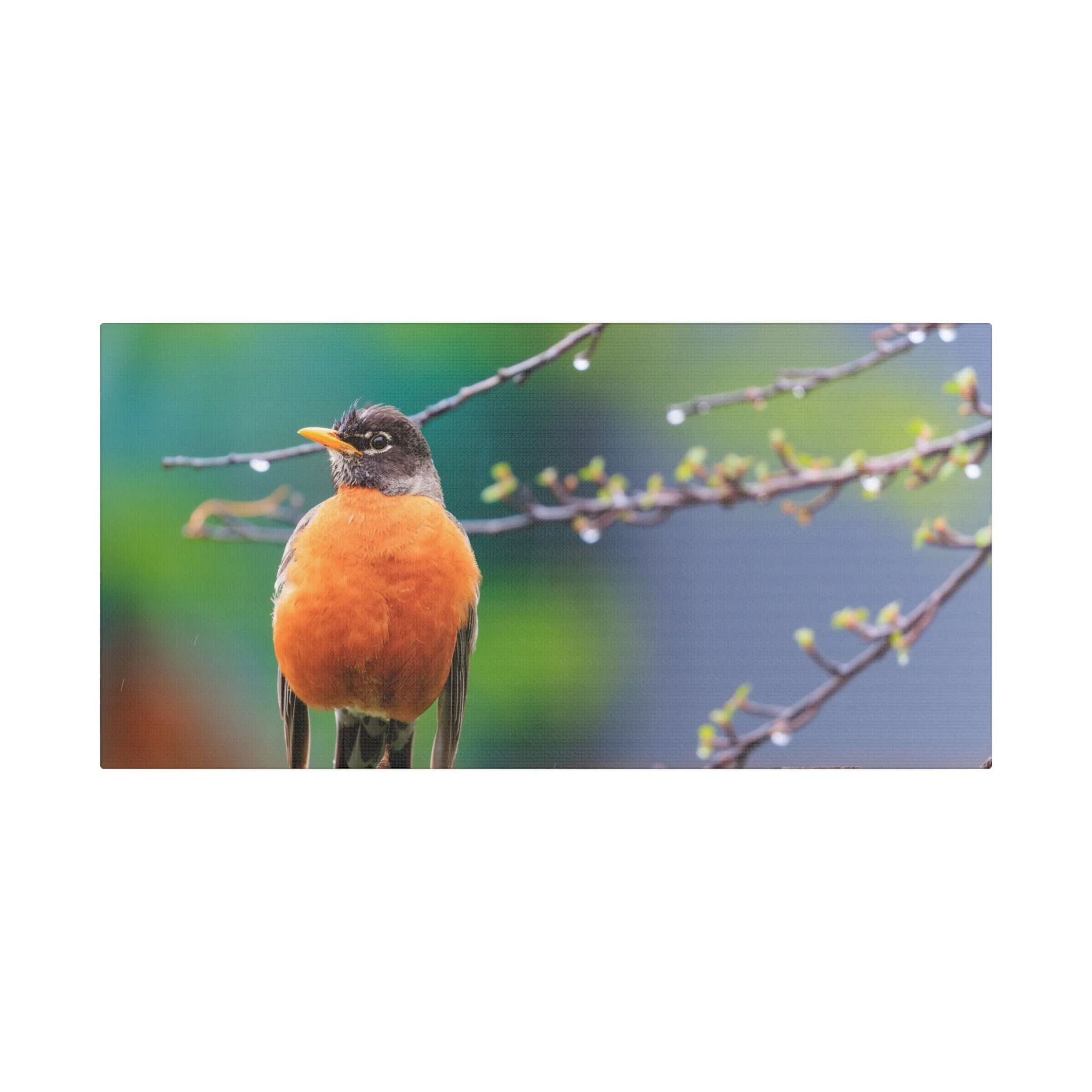 Stretched Satin Canvas