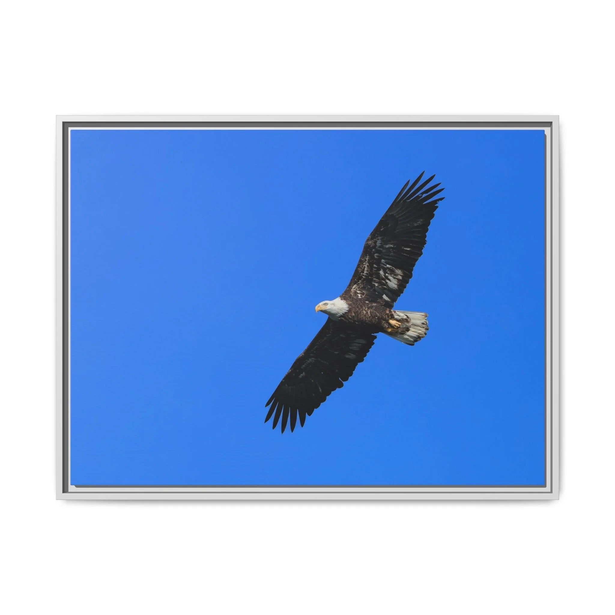 Framed Matte Canvas Print