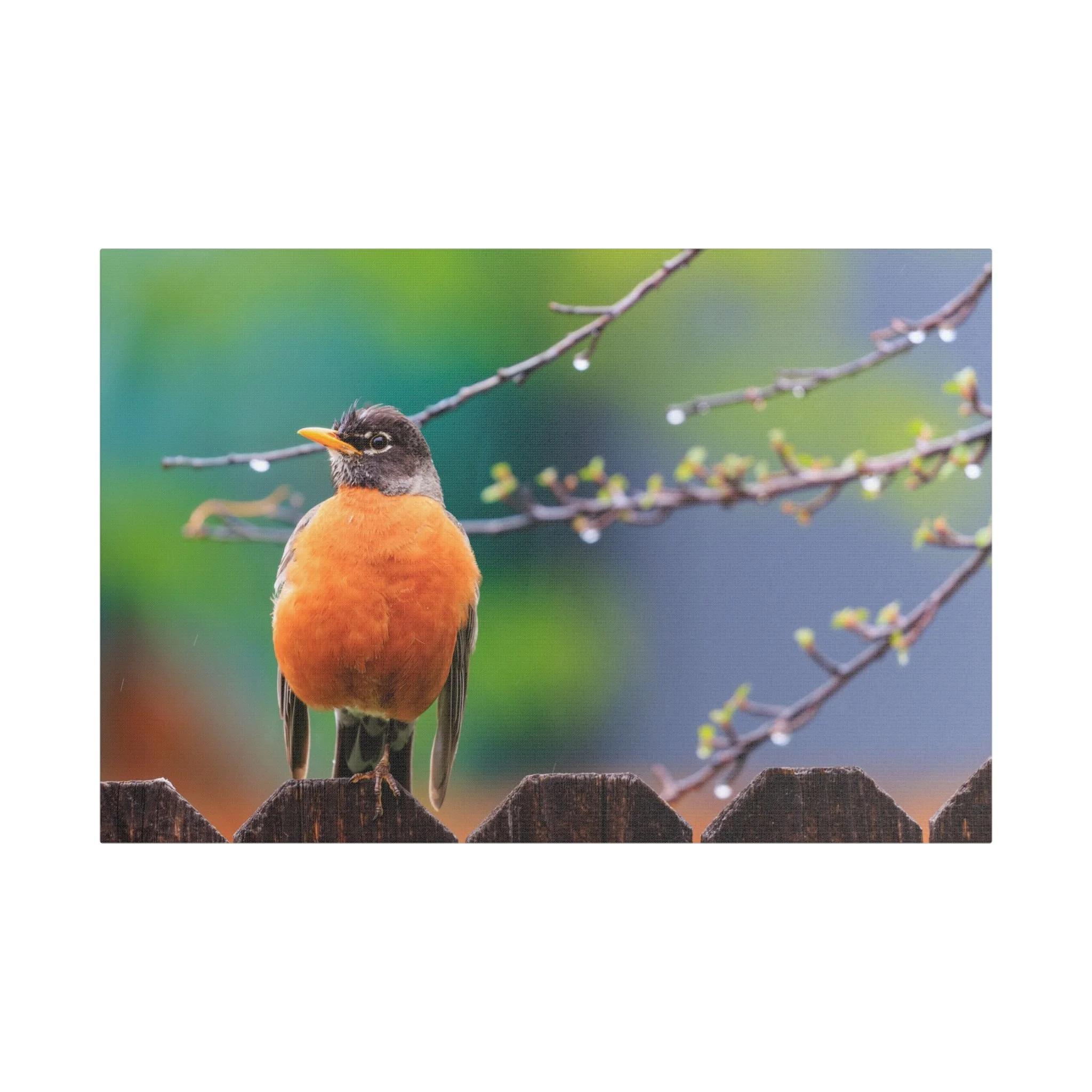 Stretched Satin Canvas