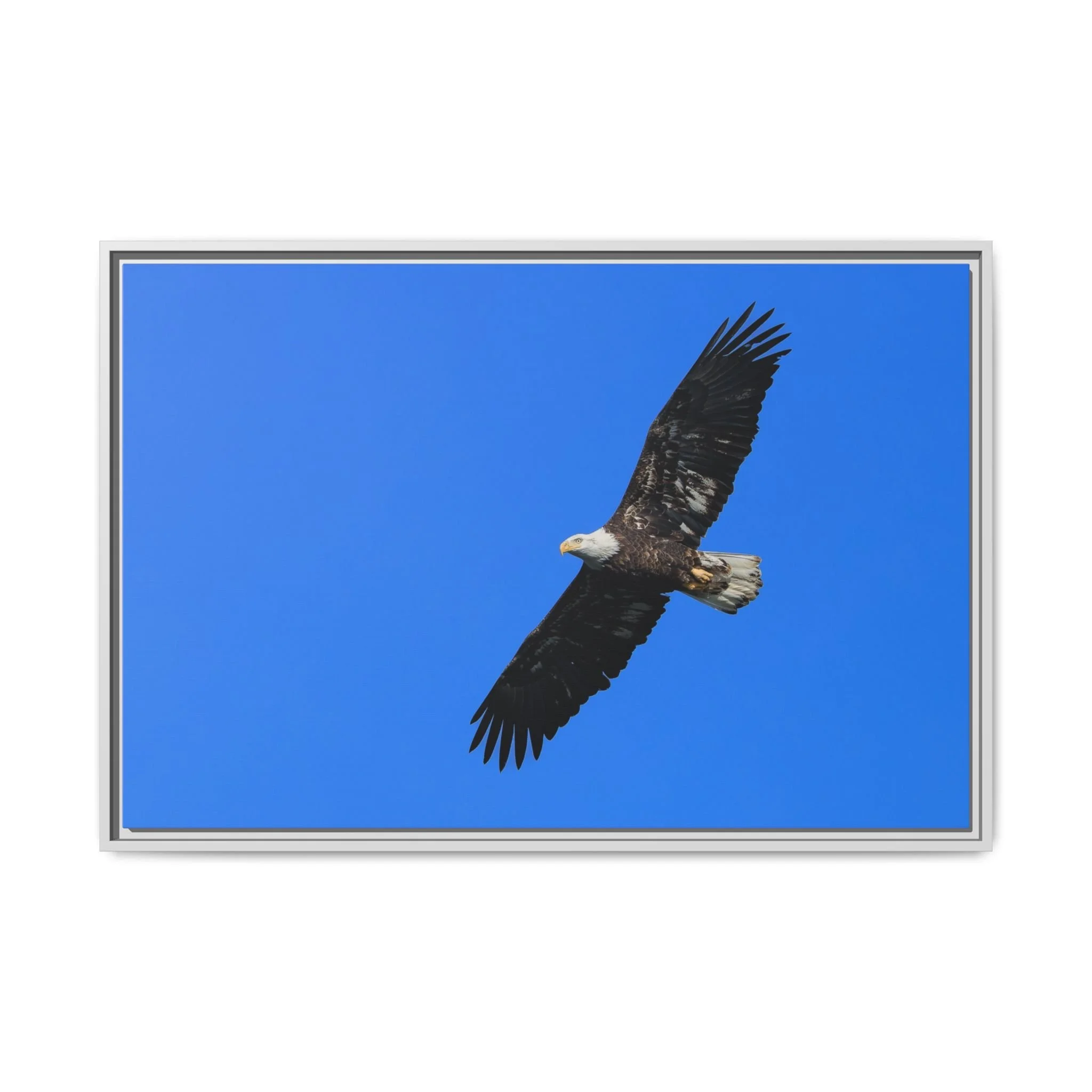 Framed Matte Canvas Print