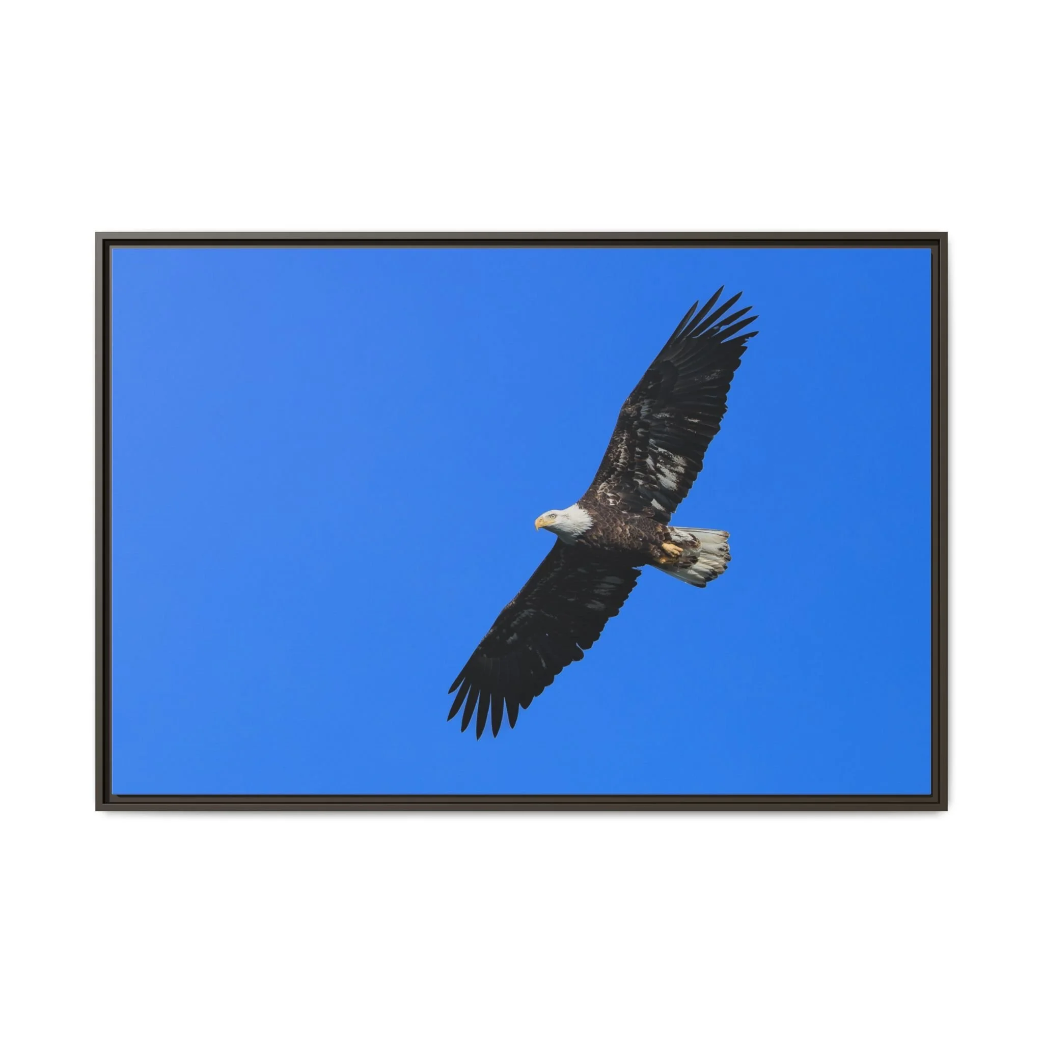 Framed Matte Canvas Print