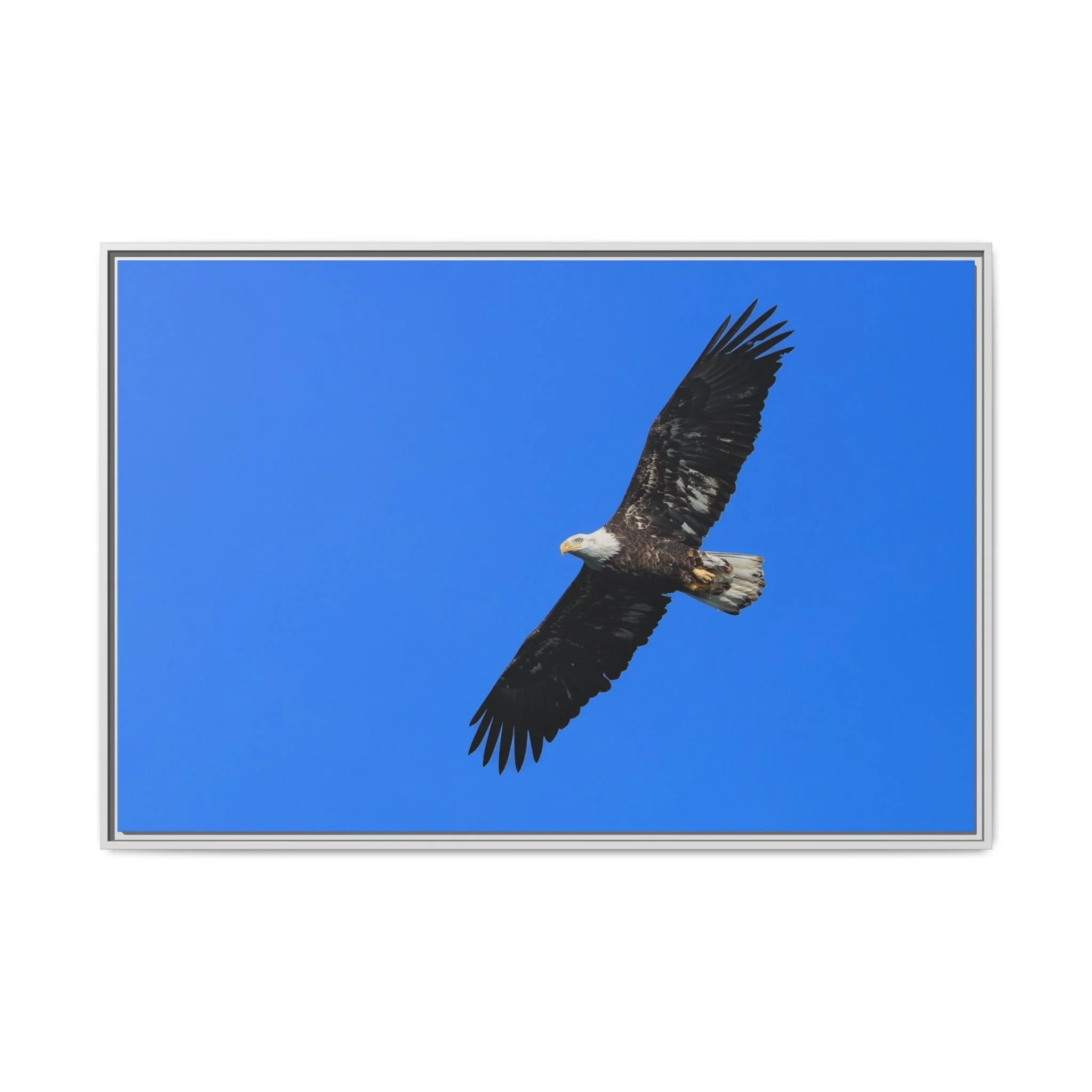 Framed Matte Canvas Print