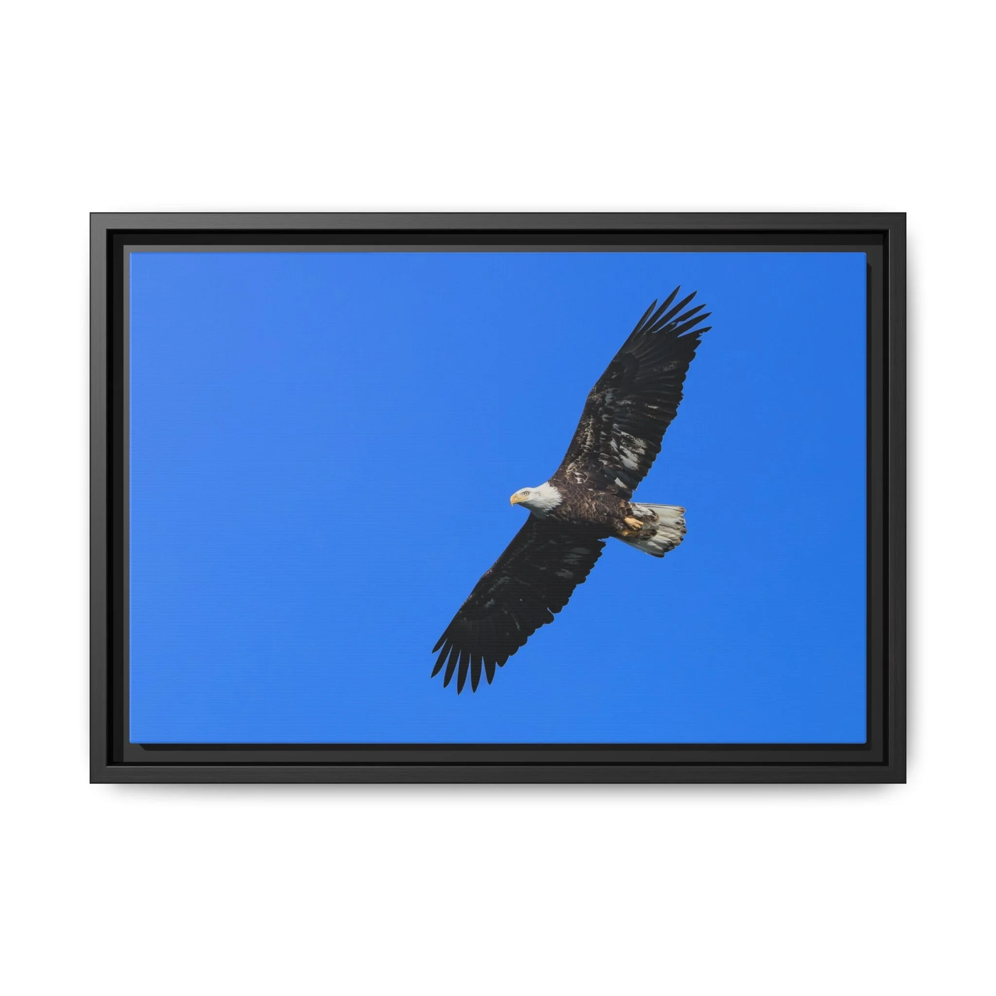 Framed Matte Canvas Print