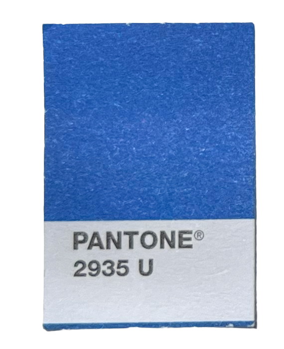 A Pantone color swatch showing shade 2935 U, a vibrant blue.