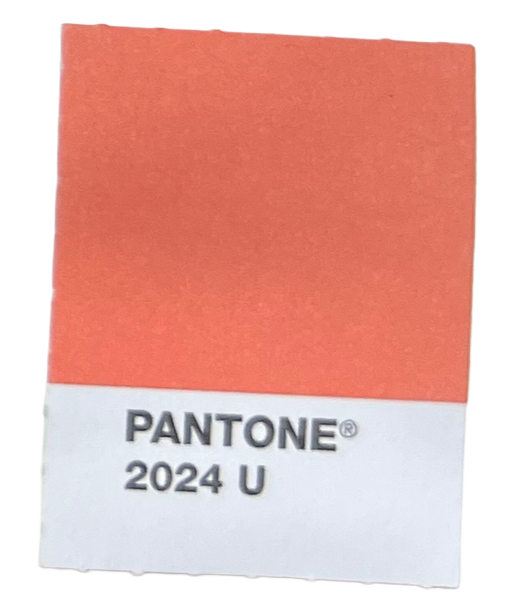 Sample swatch of Pantone color 2024 U in a rectangular shape with a coral hue and a white bottom section displaying the Pantone name and code.