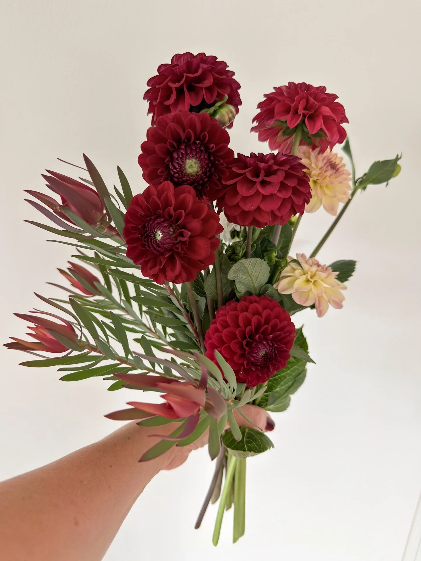 Reaching their peak. Are you frame one or frame two?