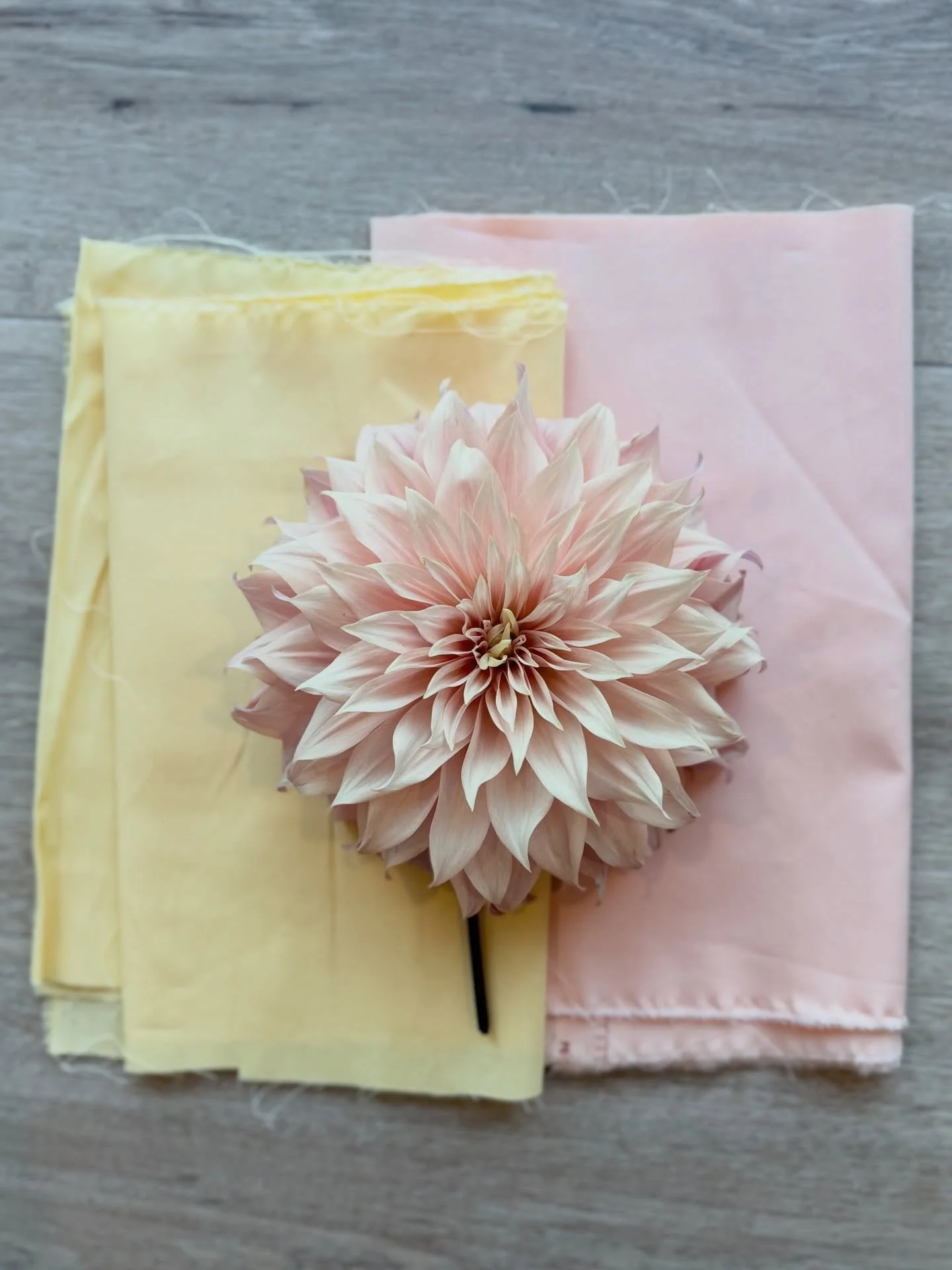 Without really planning it, turns out the colours I lean to in fabric are the same ones I put in the ground ✌️🍒