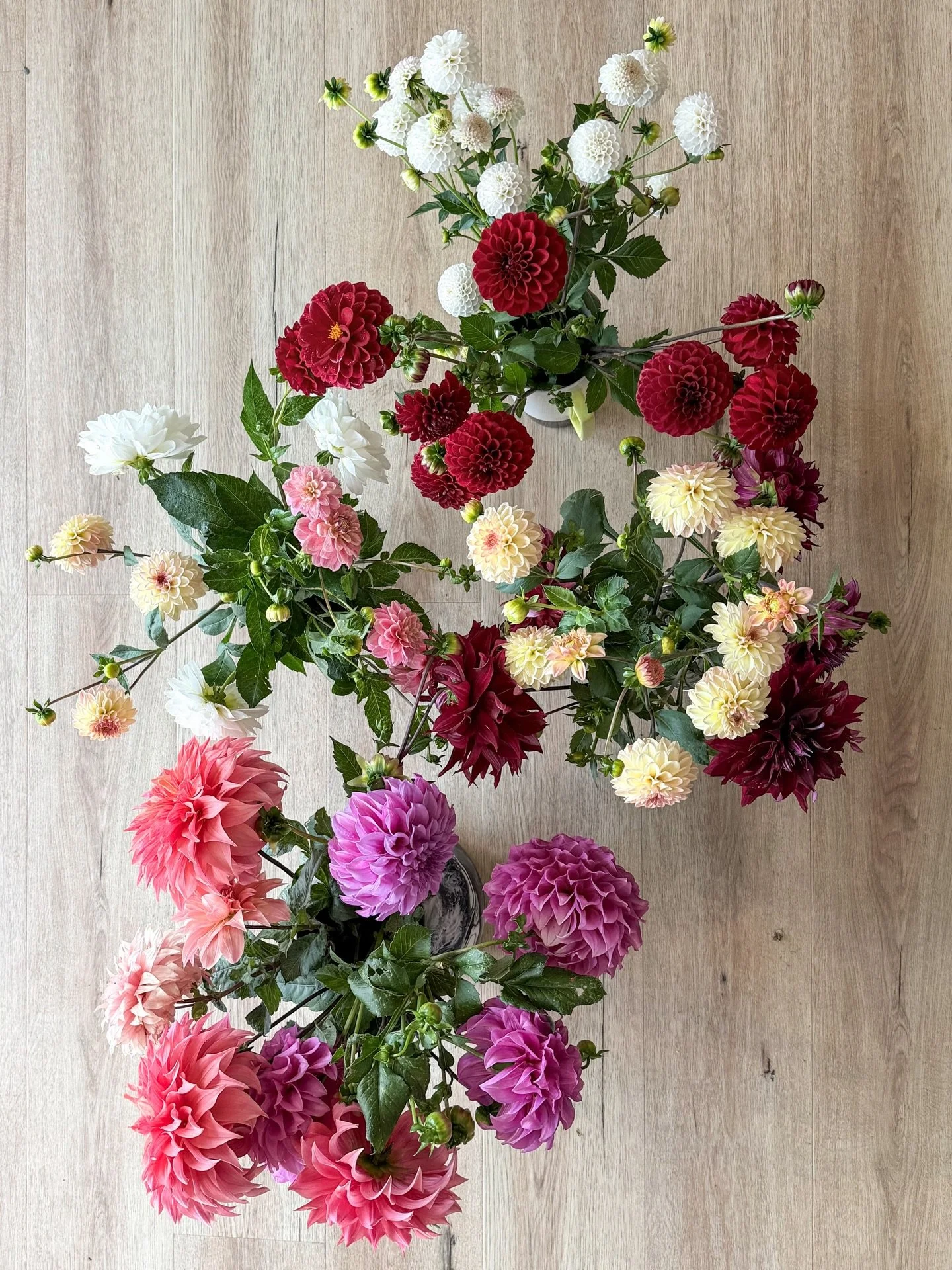 A morning haul, my favourite time of year. Wishing you a relaxing and safe Easter, friends 🌸