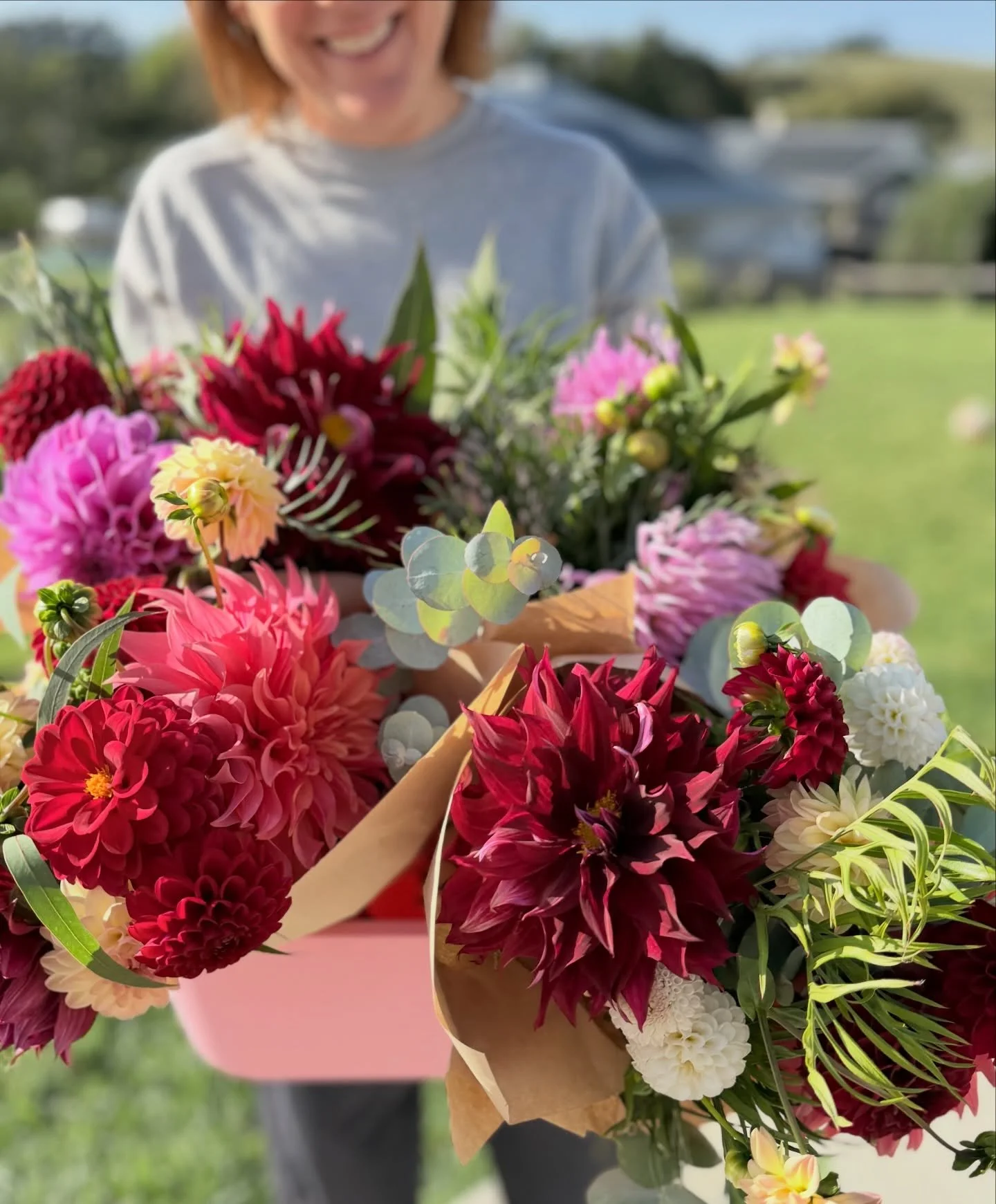 Highlands locals! You can grab a bunch of dahlia beauties today at @beansandbuttercafe 💗 be quick!