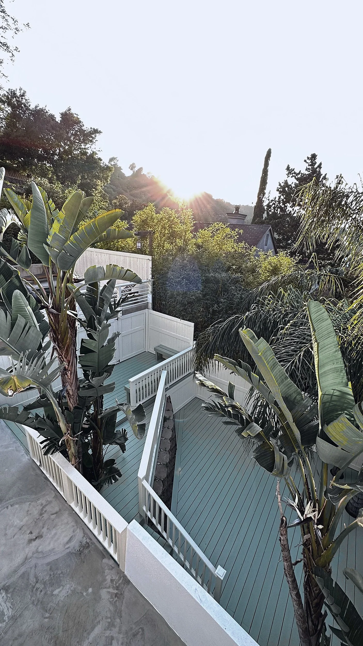 Deck with white railings seen from above, framed by bird-of-paradise and bamboo planting.