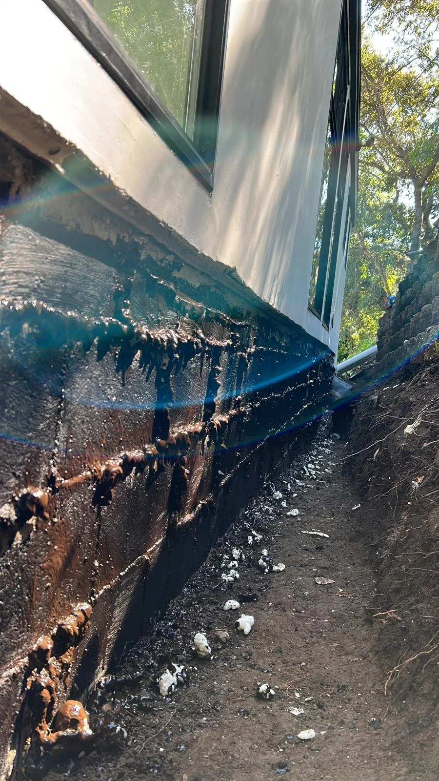 Close-up view of a house foundation with black waterproofing sealant applied, surrounded by dirt and debris, with a white wall and windows above, and sunlight filtering through trees.
