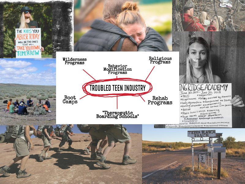 Stop Institutional Child Abuse, Troubled Teen Industry