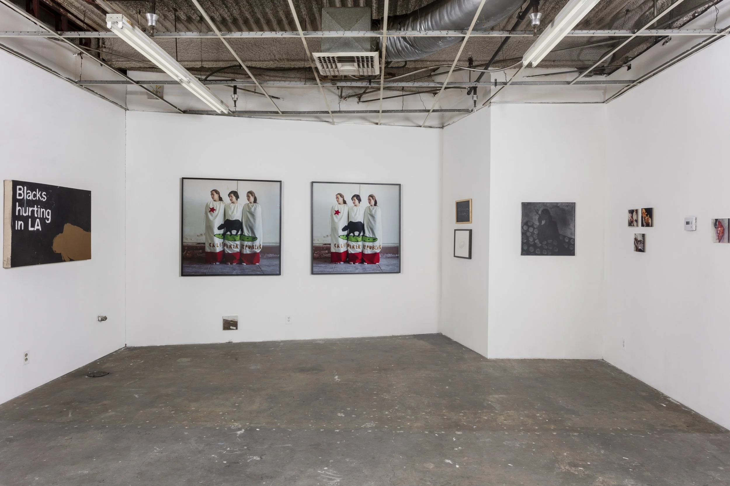 Group exhibition “Untitled” Chinatown, Los Angeles - Featuring Henry Taylor, Frances Stark, Sharon Lockhart, Dorit Cypis, Silke Otto-Knapp, Jason Meadows and Eric Wesley | Photo by Josh White