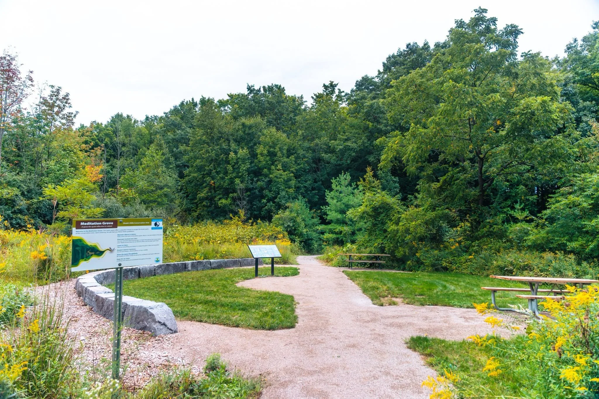 meditation grove 2.jpg
